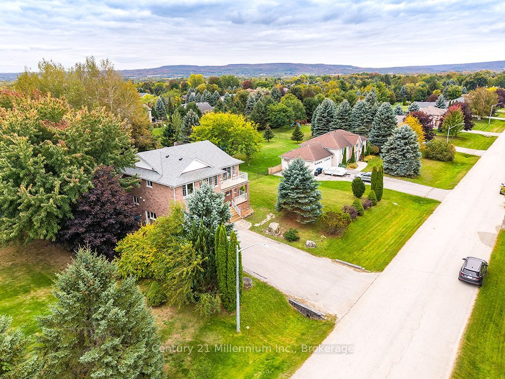 46 Donald Avenue Property Photo 4