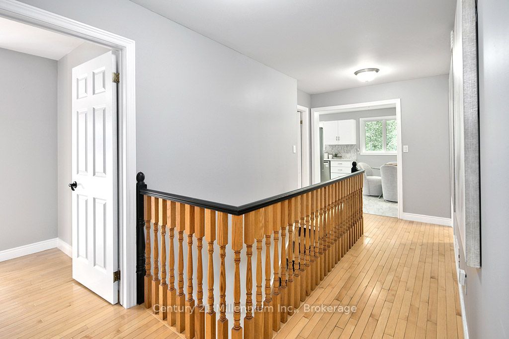 46 Donald Avenue Property Photo 19