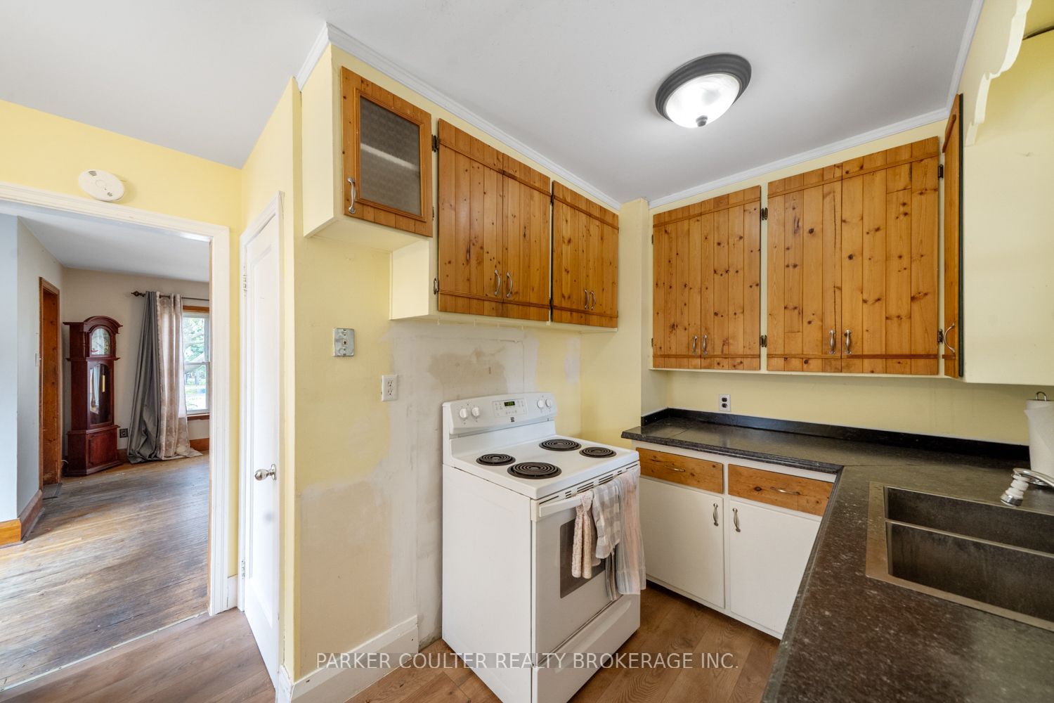 27 Campbell Avenue Property Photo 17
