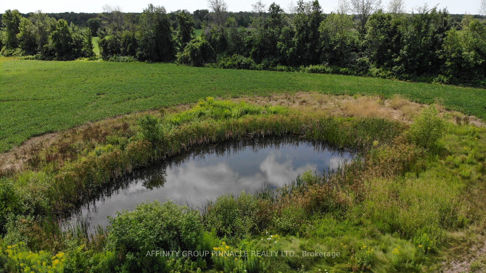 4026 Highway 12 Property Photo 13