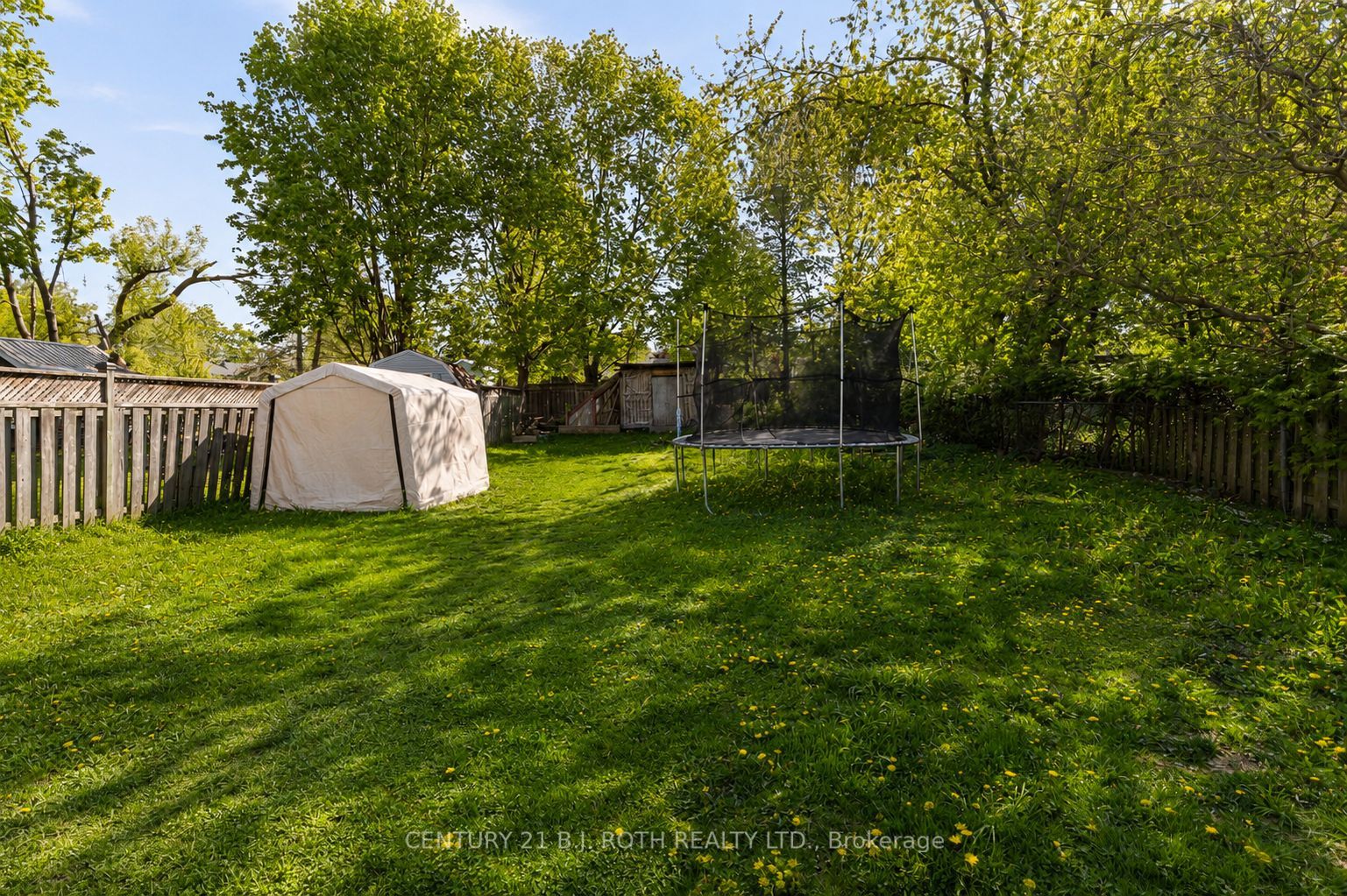 292 Millard Street Property Photo 12
