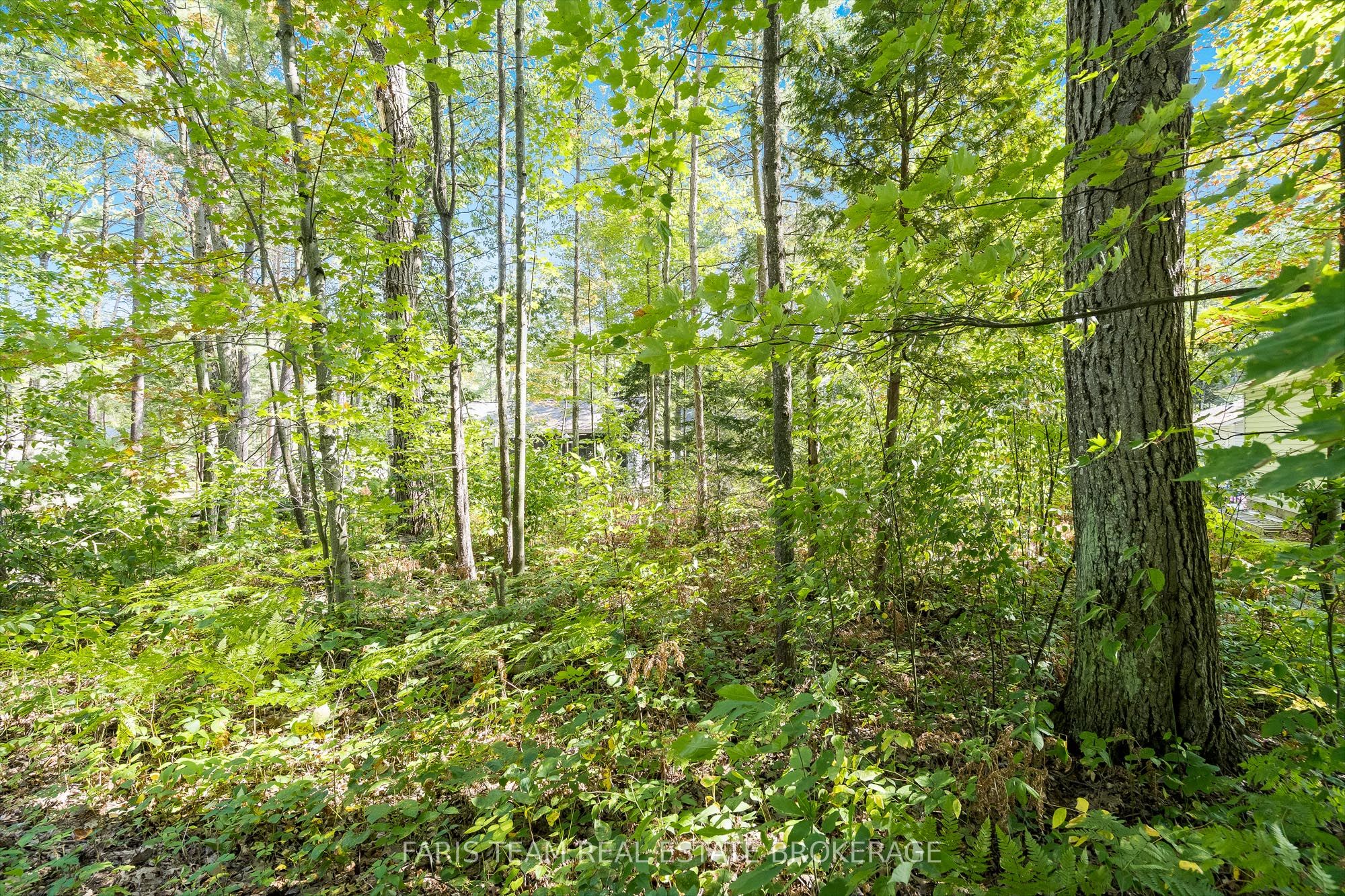 Lot 9 James Street Property Photo 12