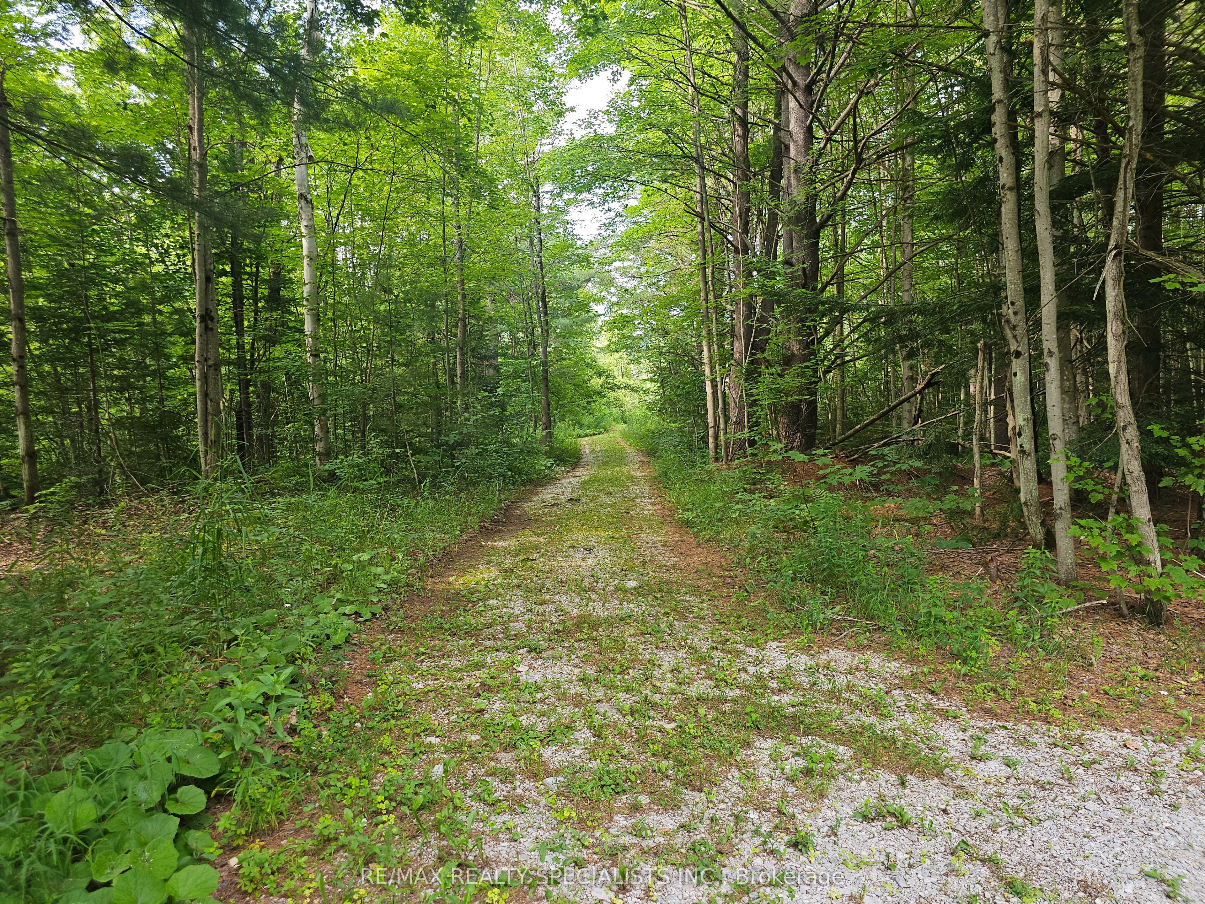 3878 Cambrian Road Property Photo 9