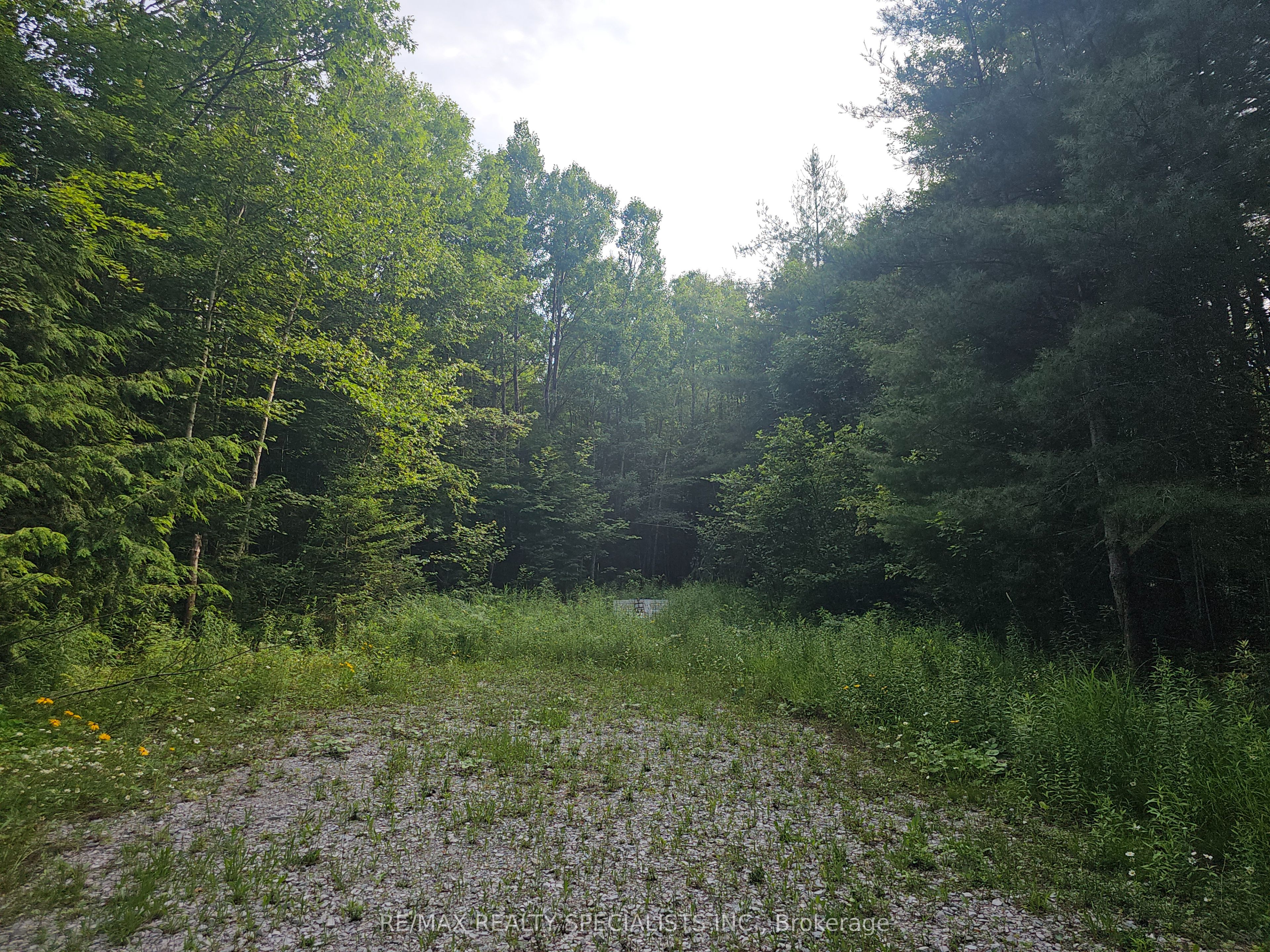 3878 Cambrian Road Property Photo 10