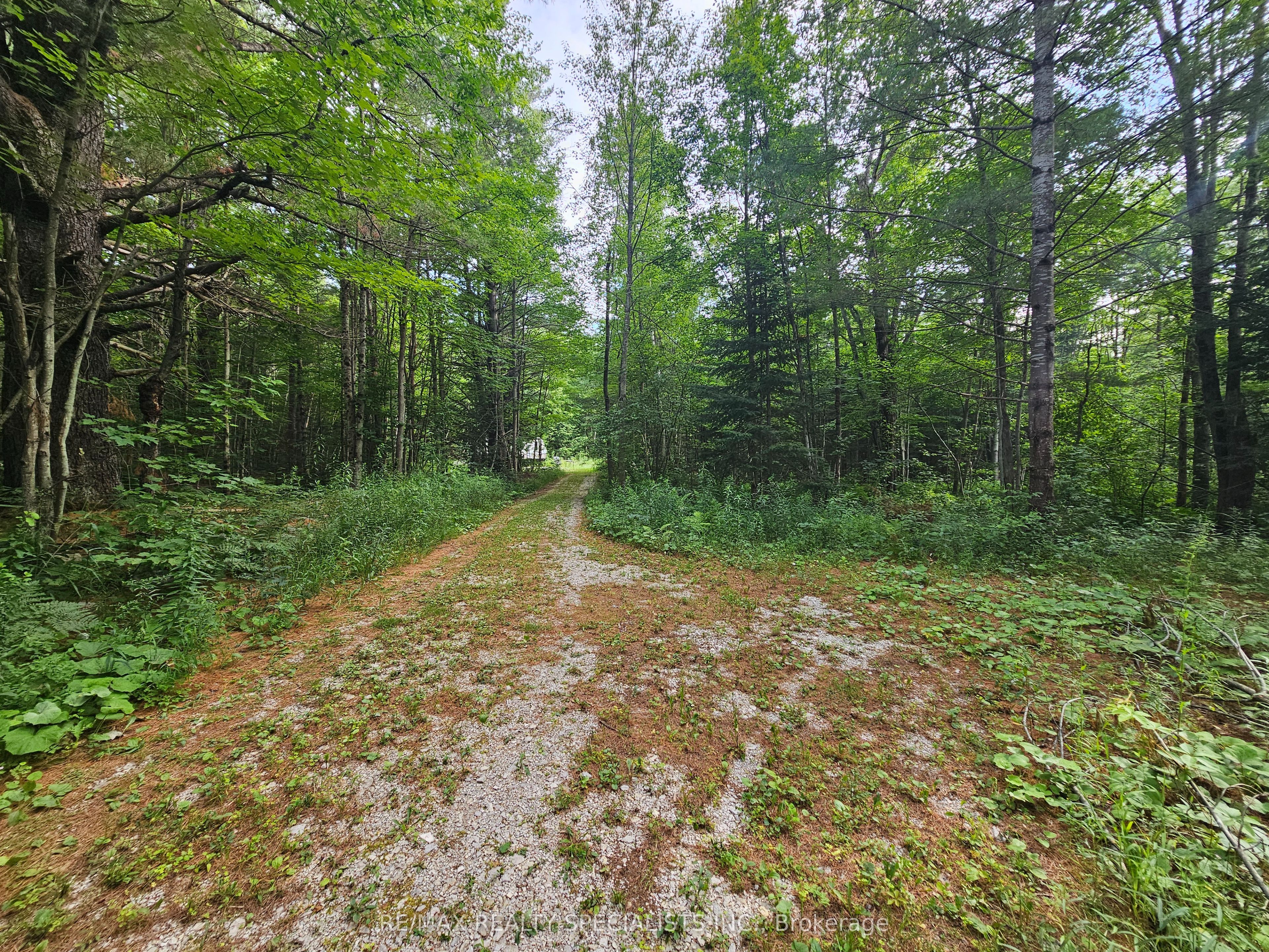 3878 Cambrian Road Property Photo 26