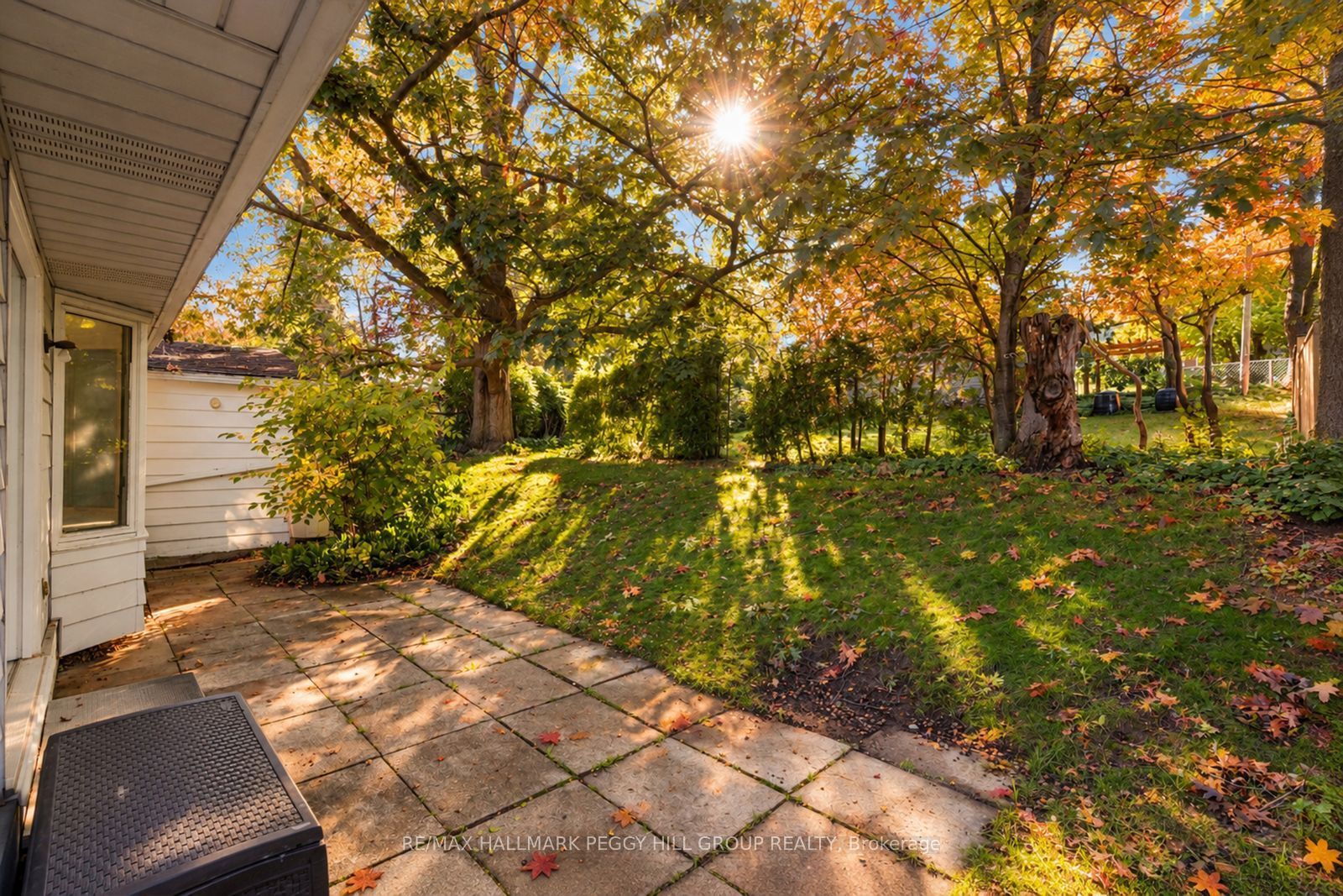 109 Codrington Street Property Photo 15