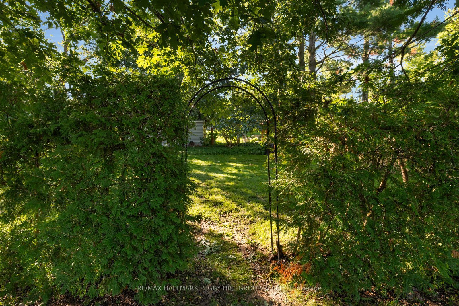 109 Codrington Street Property Photo 18