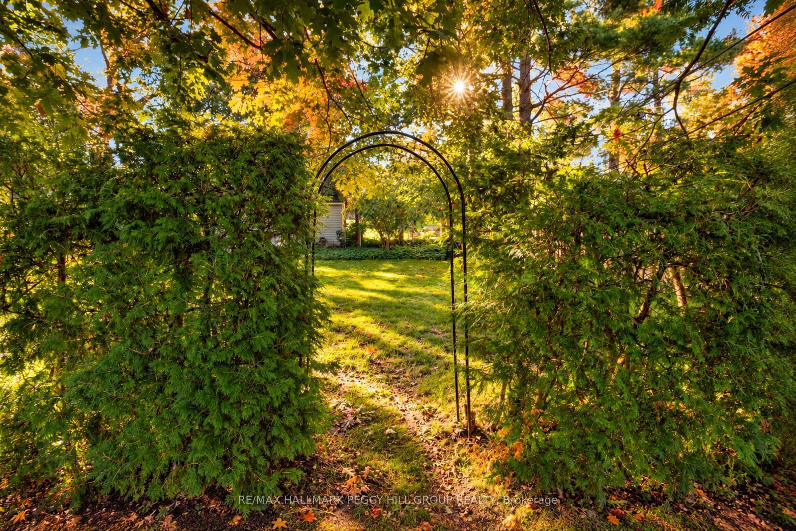 109 Codrington Street Property Photo 18