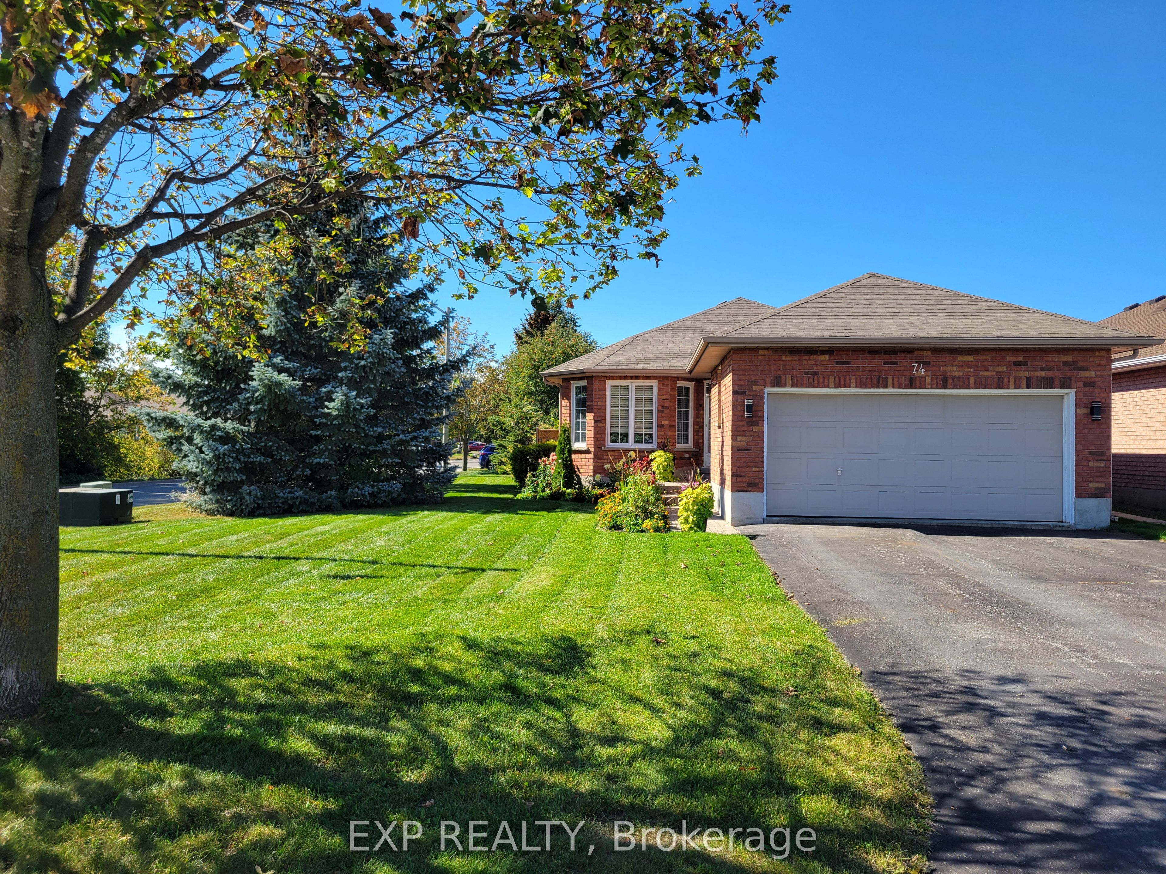 74 Buchanan Street Property Photo 1