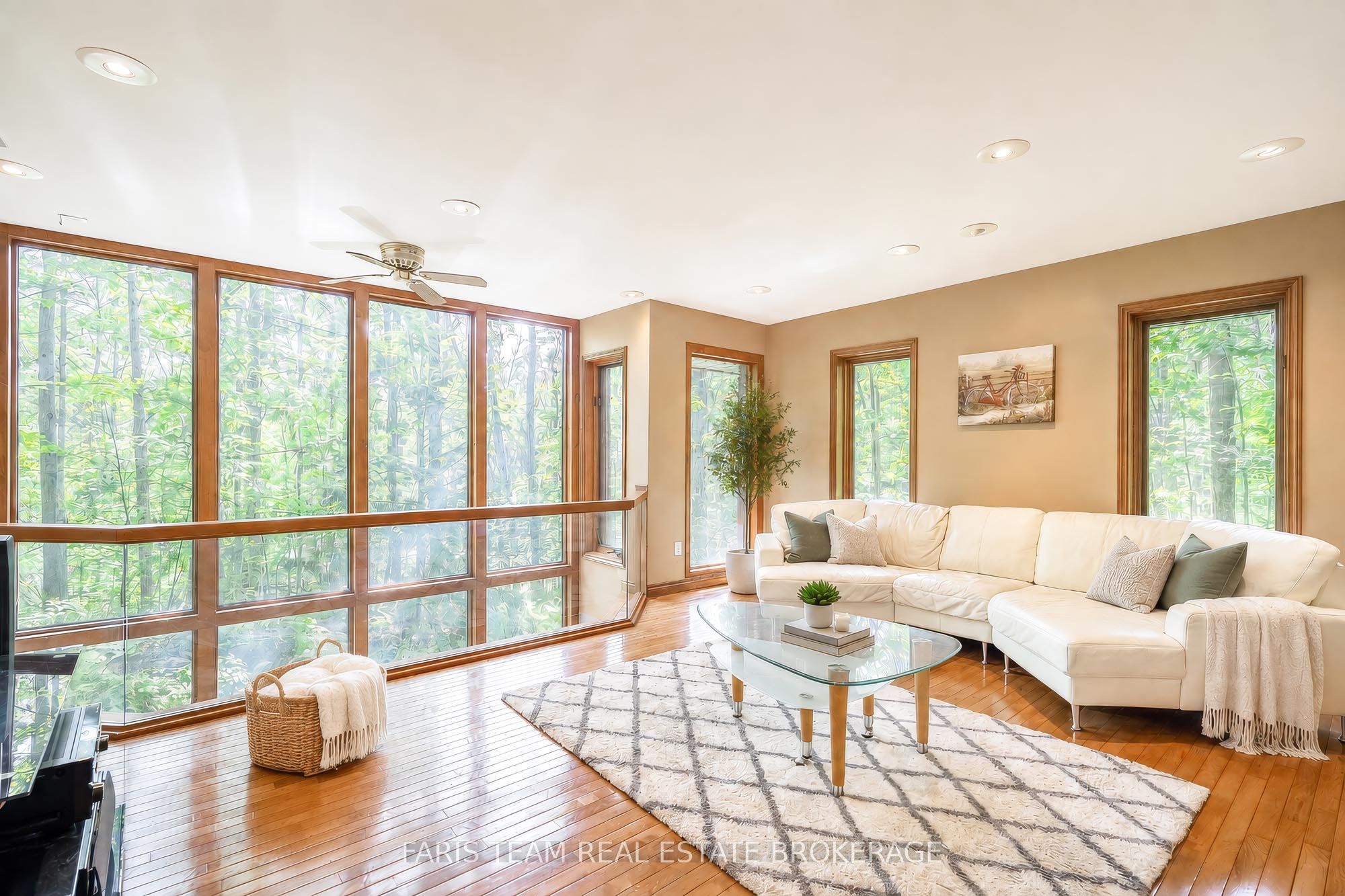 15 Scottdale Drive Property Photo 14