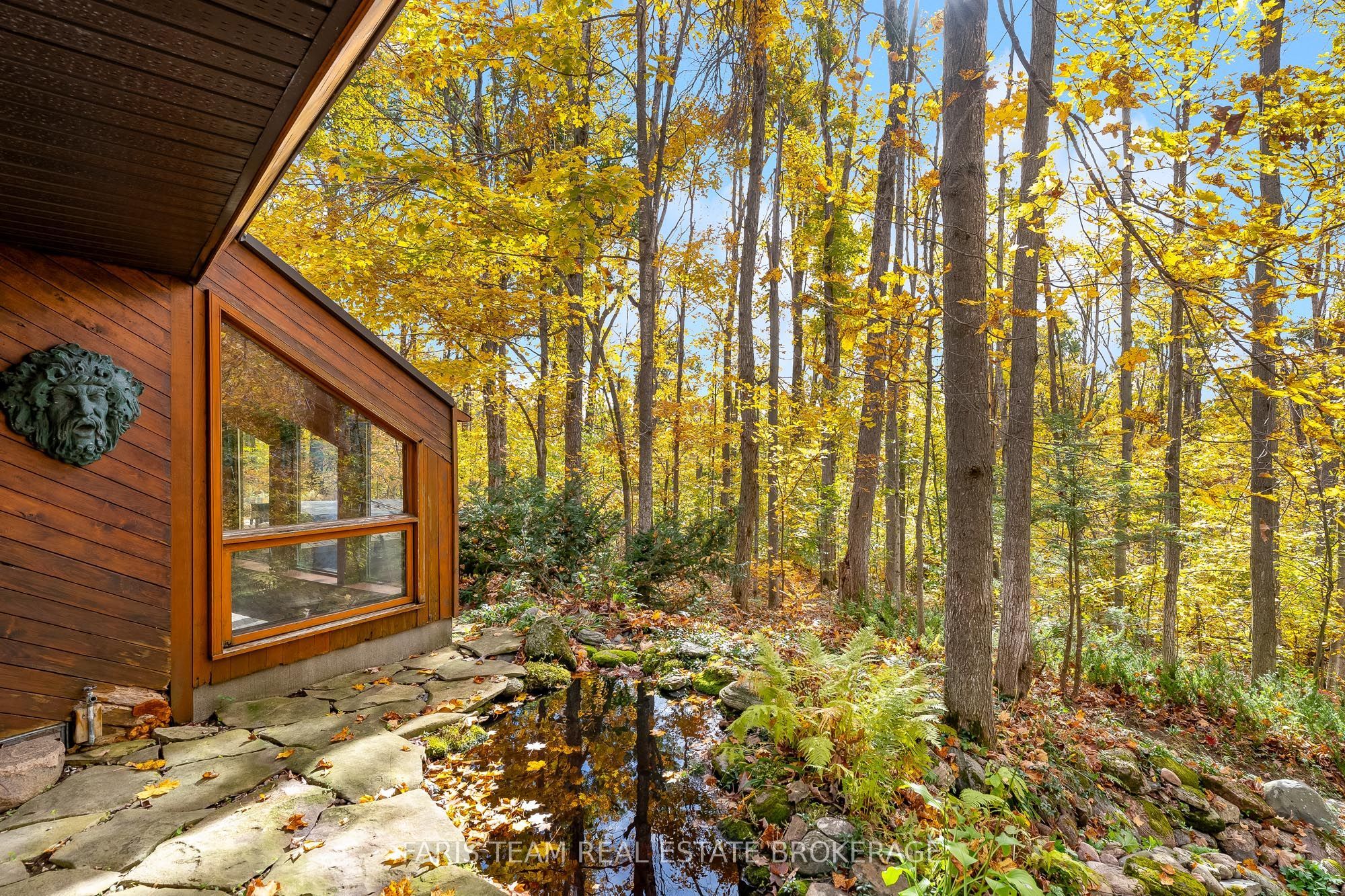 15 Scottdale Drive Property Photo 43