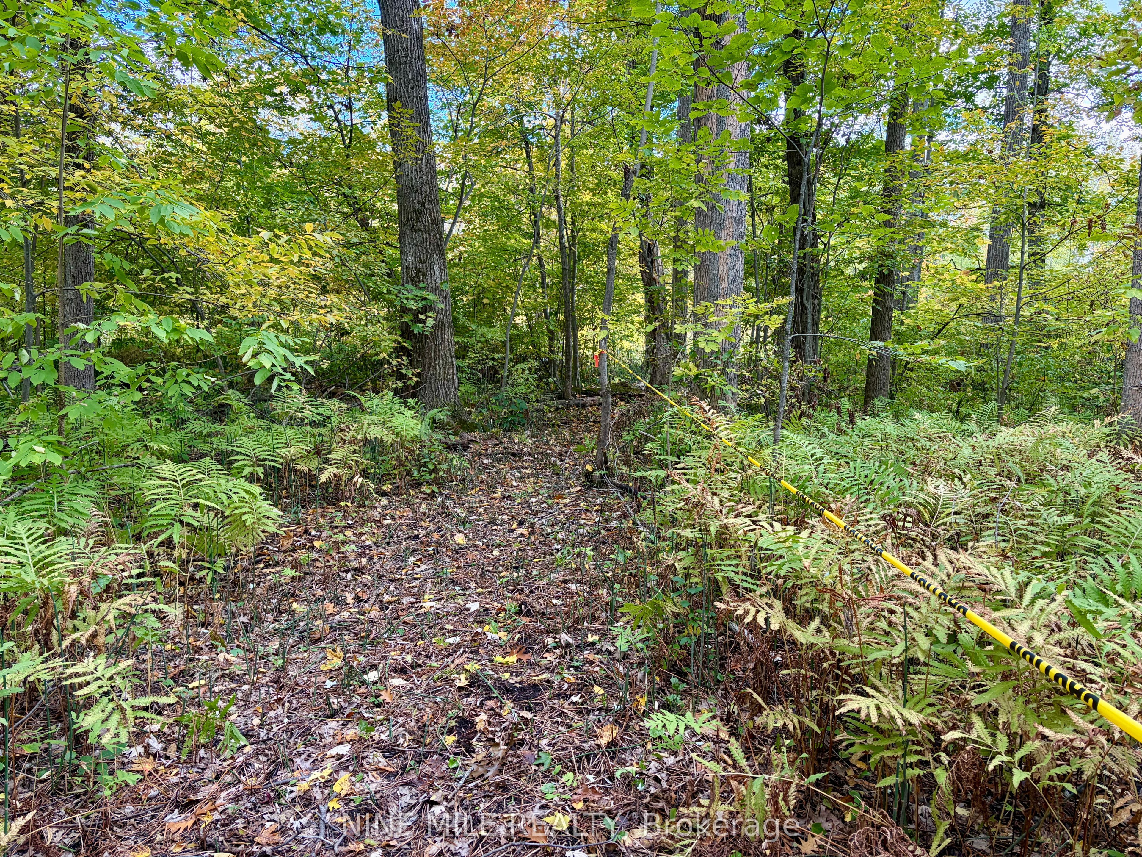 3159 Switch Road Property Photo 1