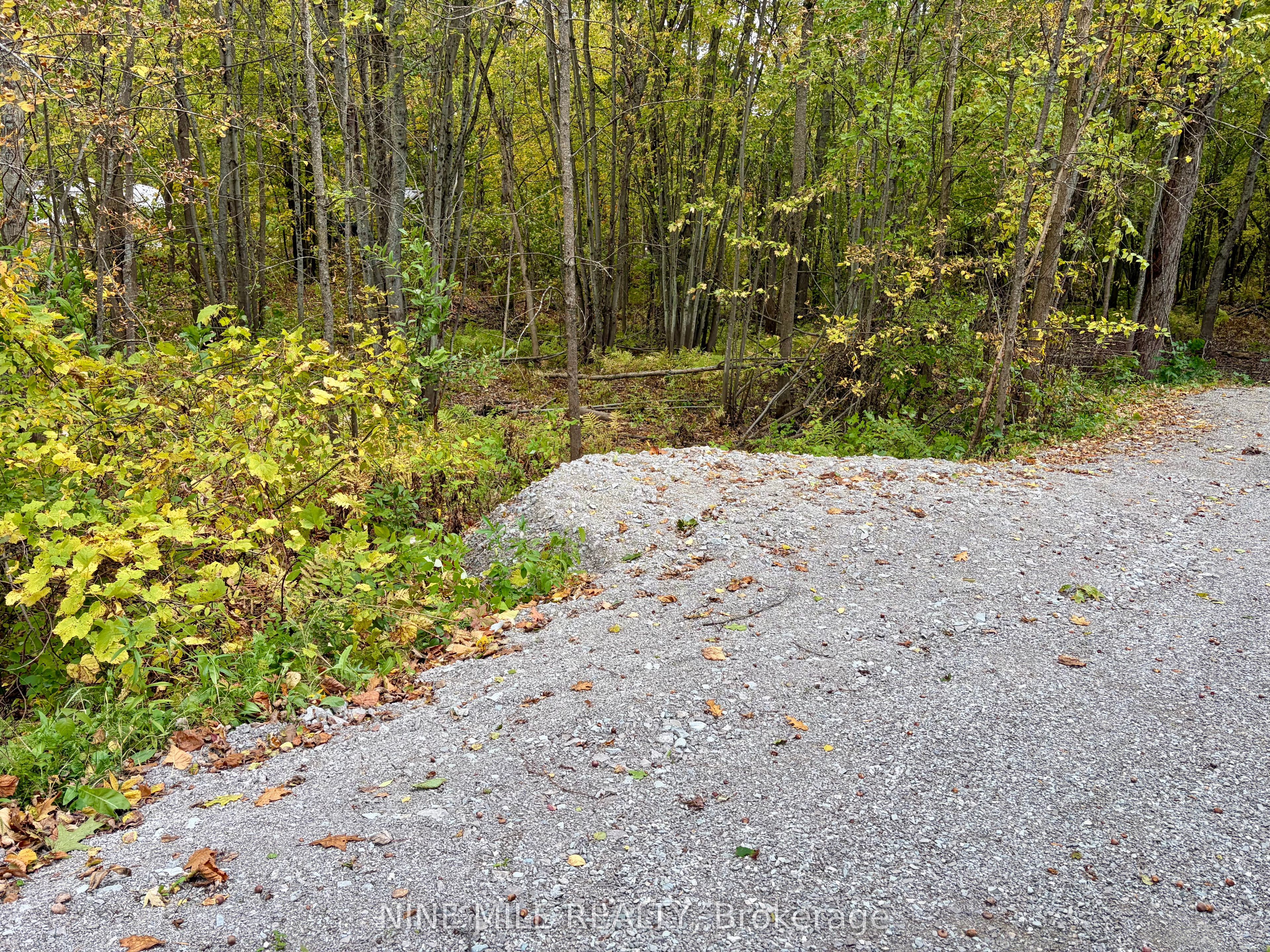 3159 Switch Road Property Photo 2