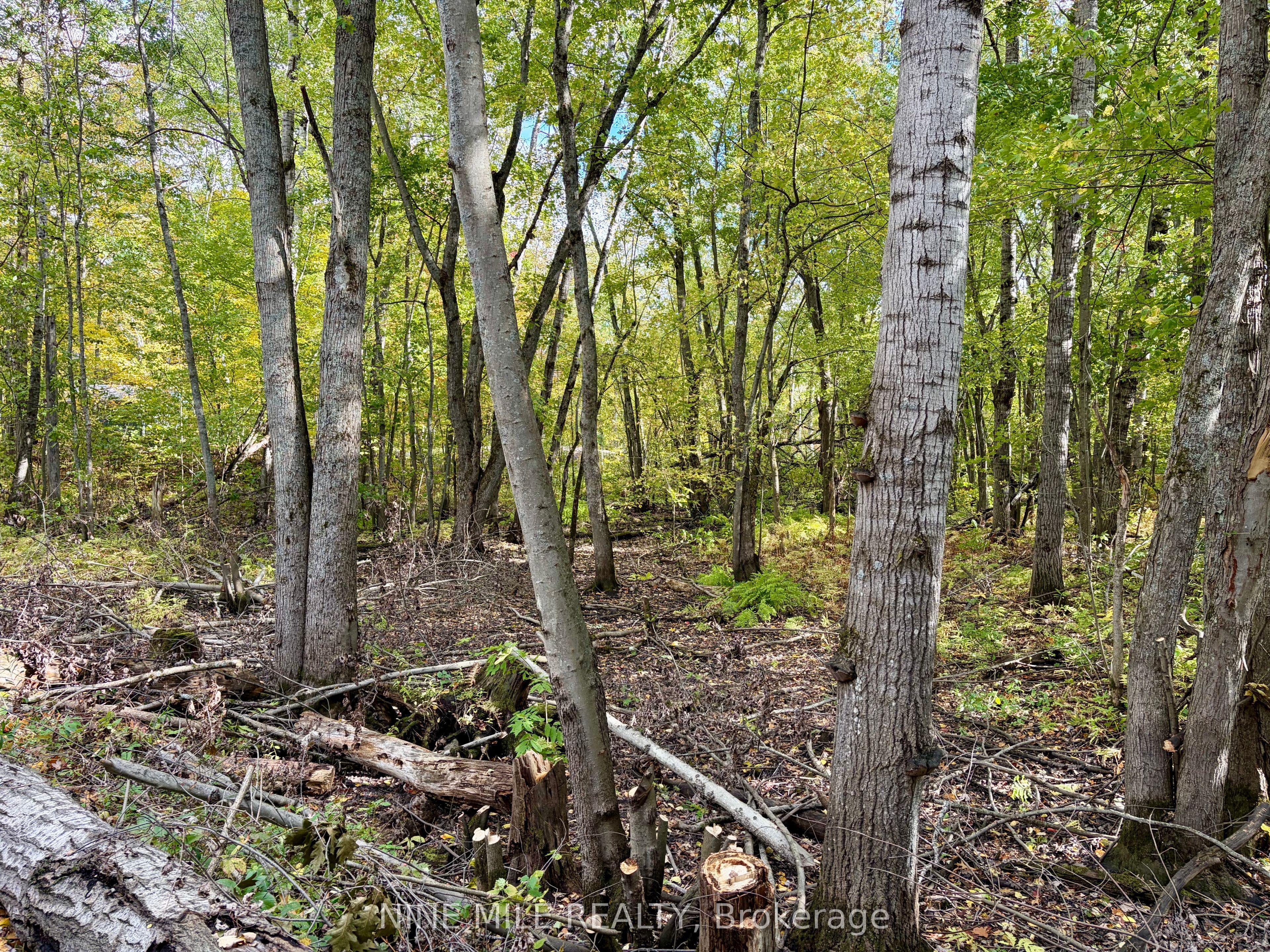 3159 Switch Road Property Photo 10