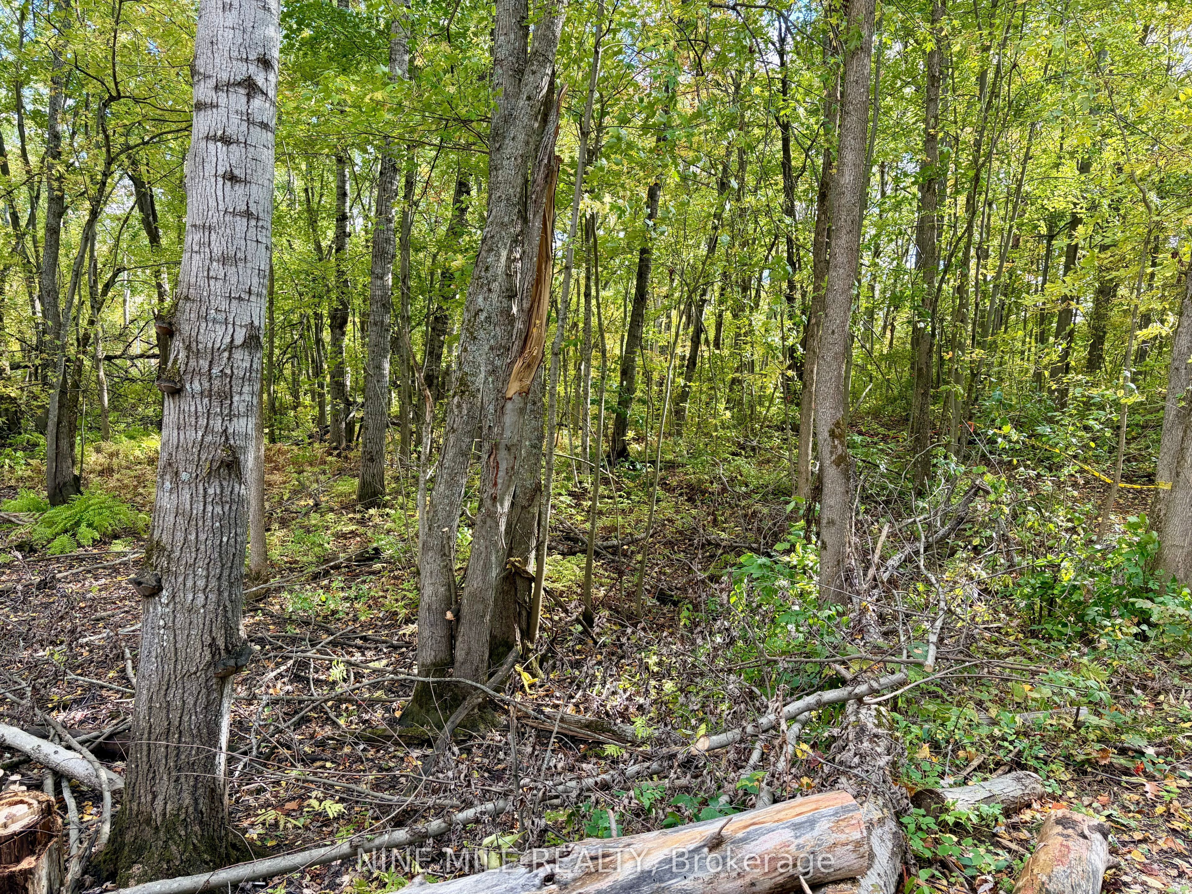 3159 Switch Road Property Photo 11