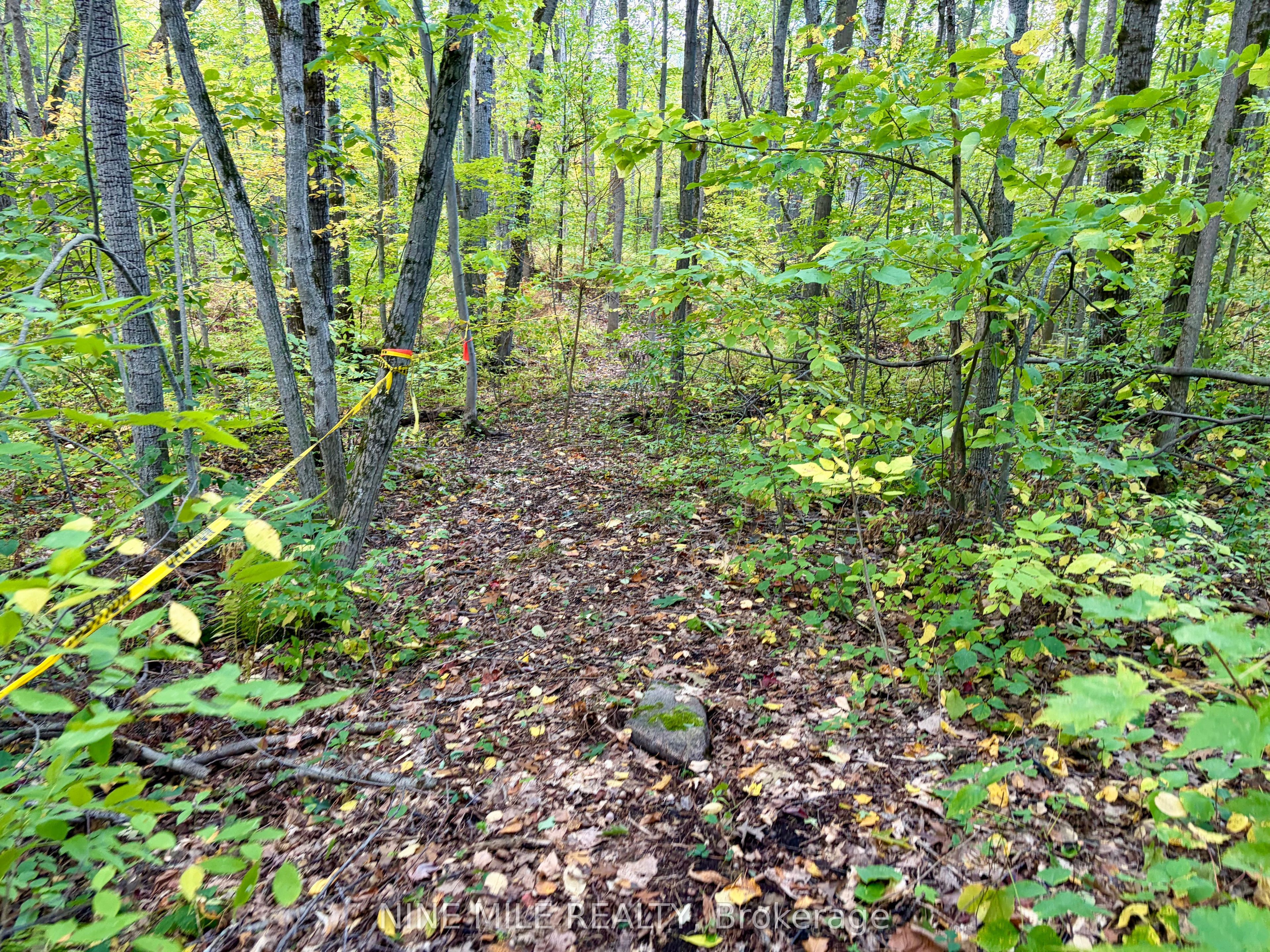 3159 Switch Road Property Photo 12