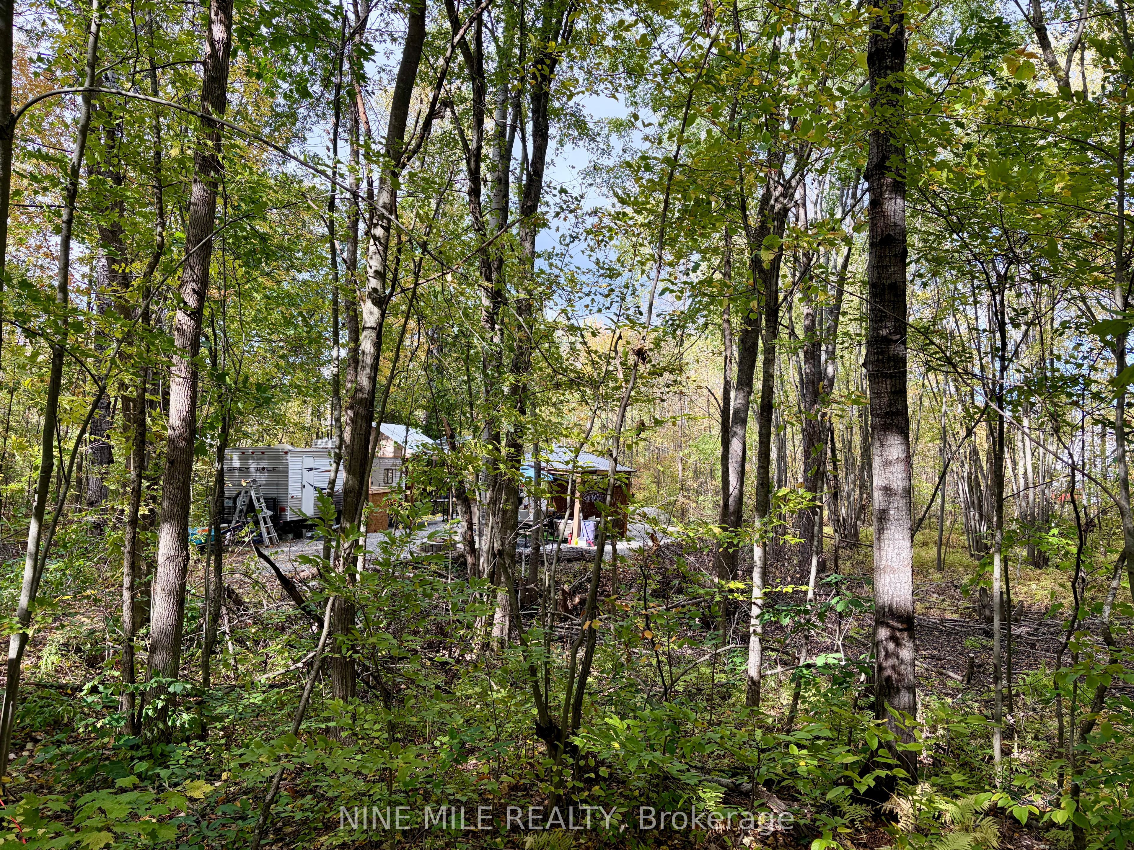 3159 Switch Road Property Photo 16