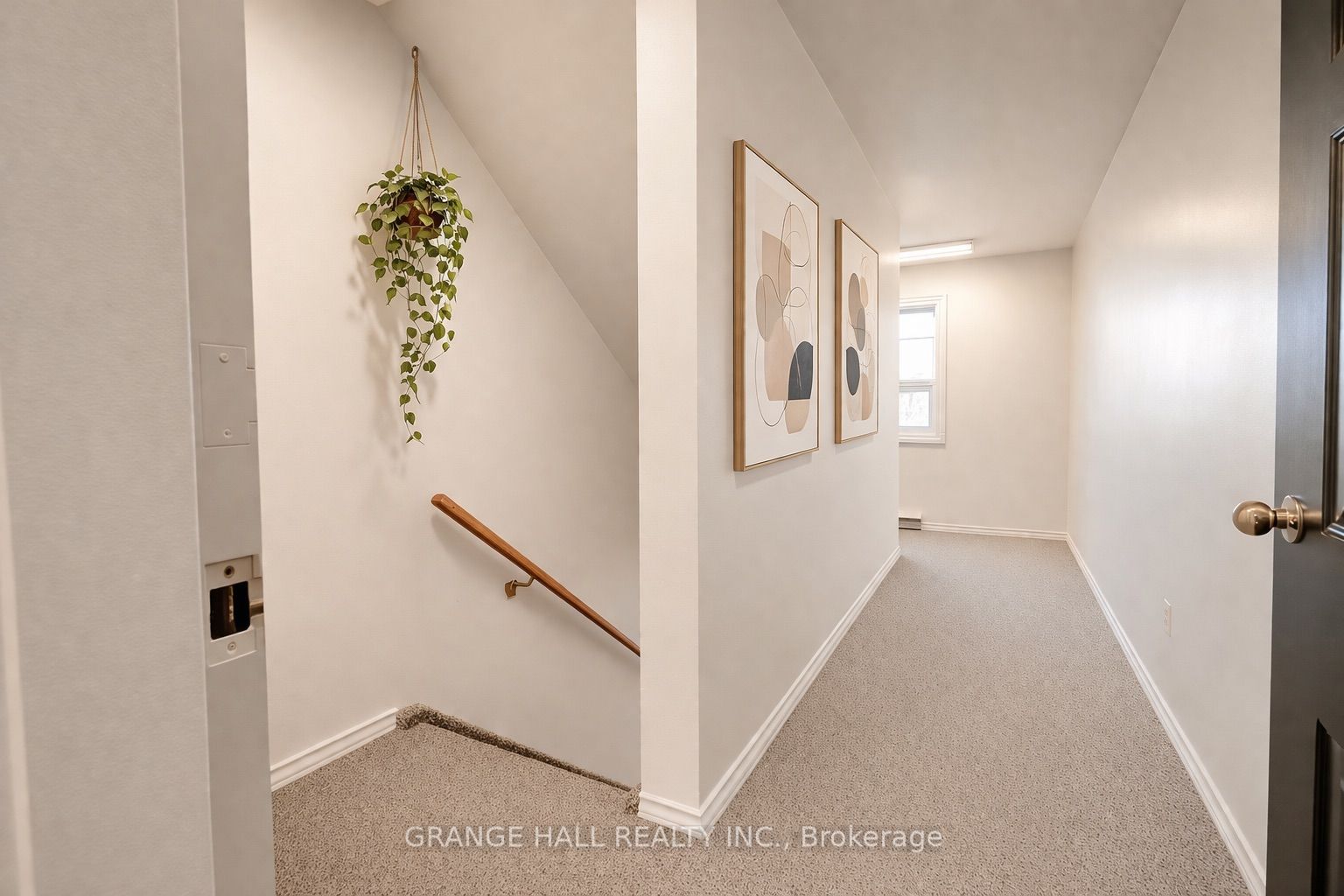 14 Elgin Street 12 Property Photo 16