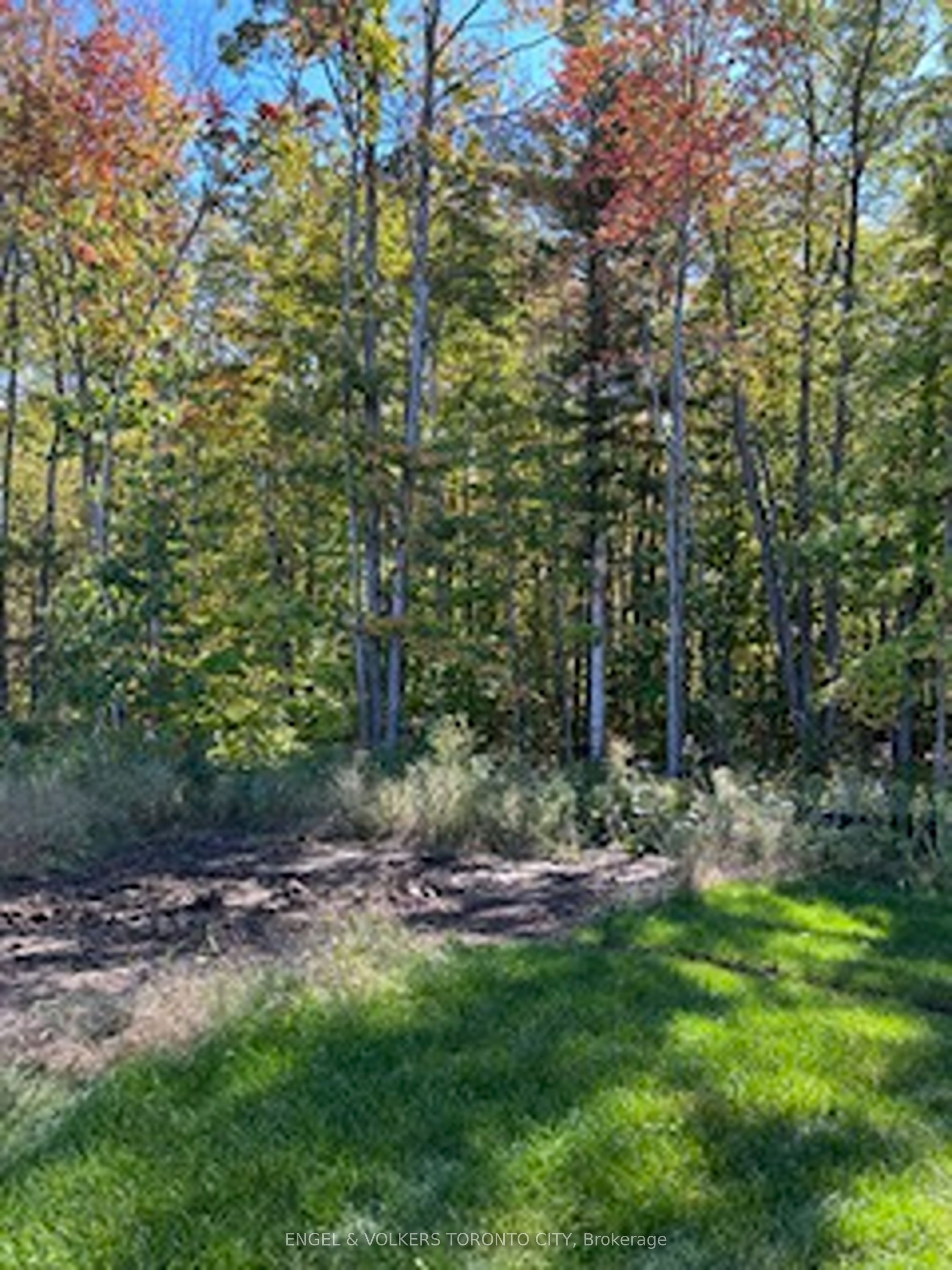 3062 Morningcoast Place Property Photo 12