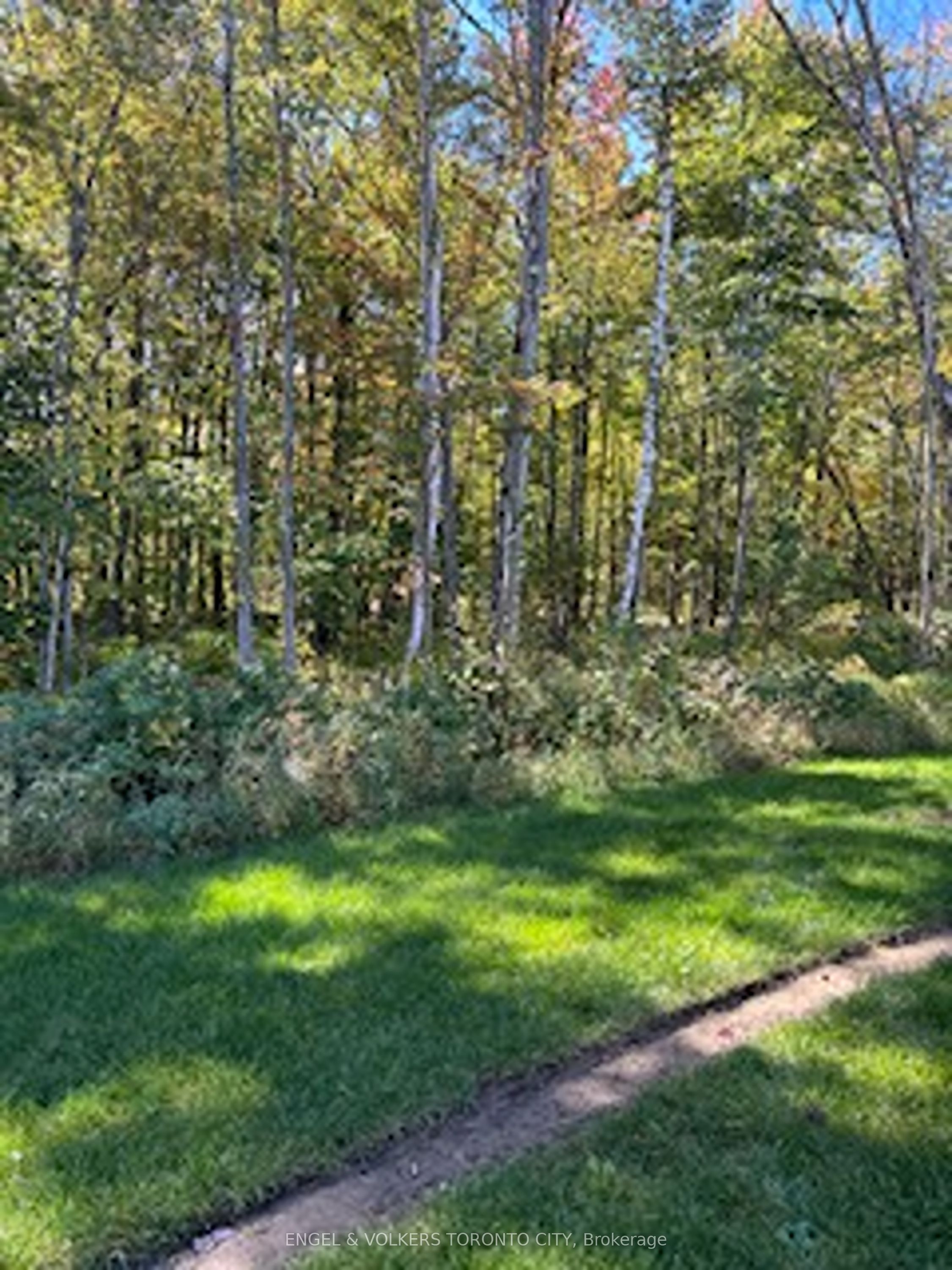 3062 Morningcoast Place Property Photo 13