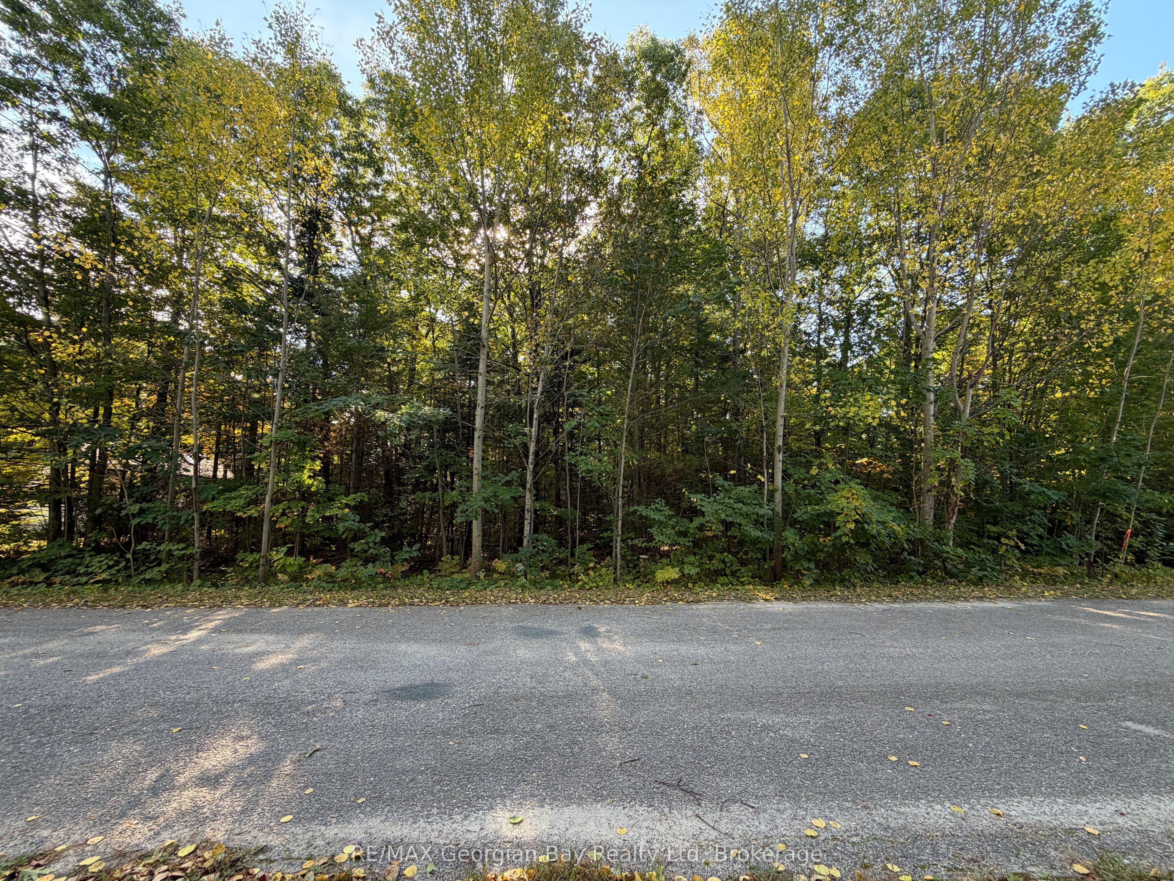 69 Pinecone Avenue Property Photo 3