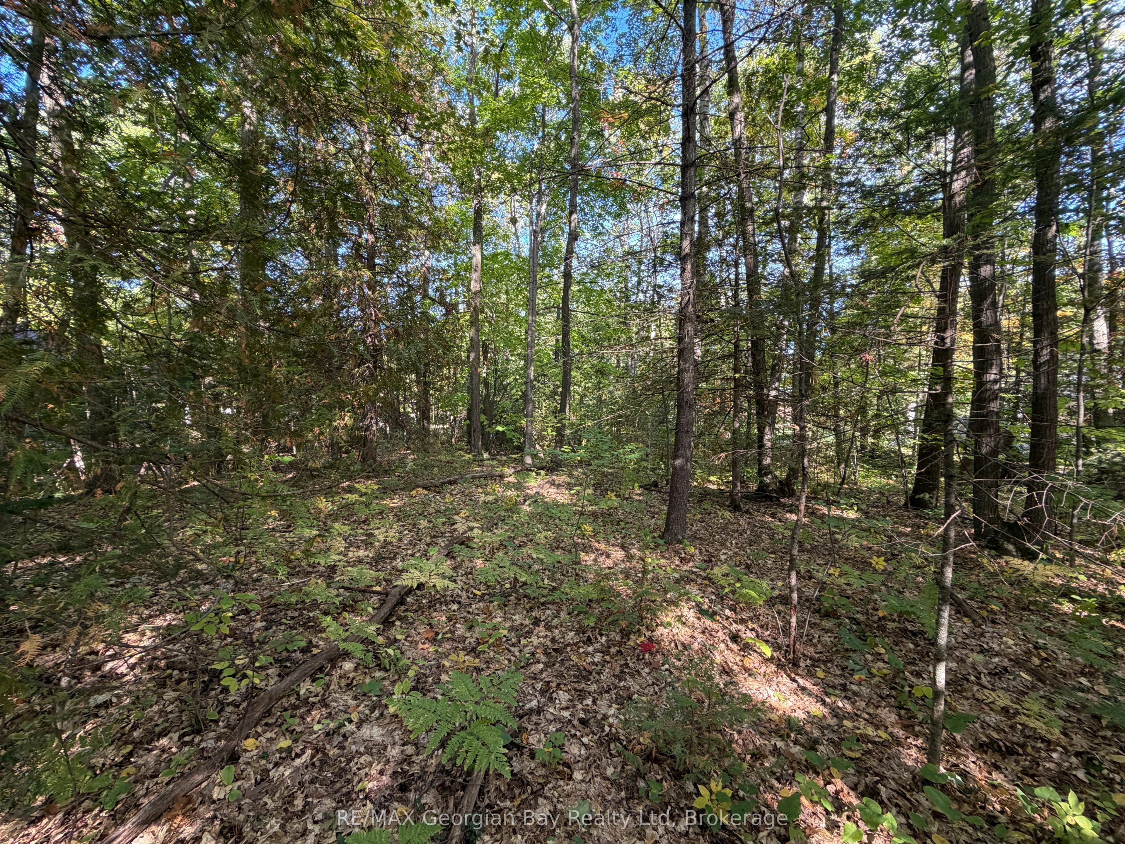 69 Pinecone Avenue Property Photo 4