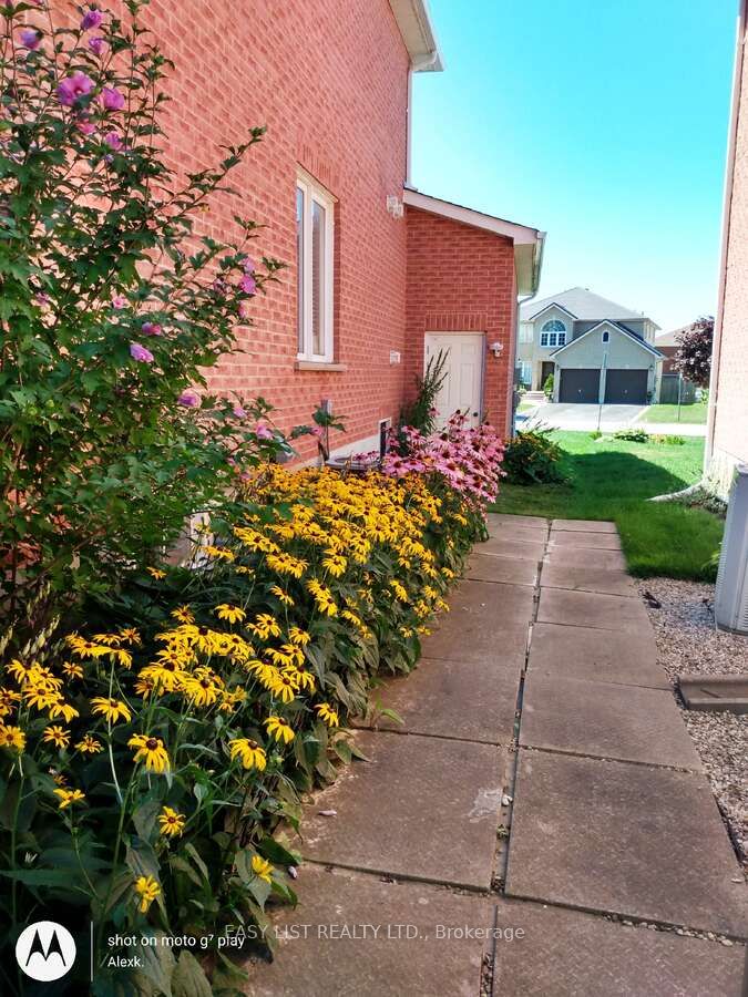35 Raquel Street Property Photo 43