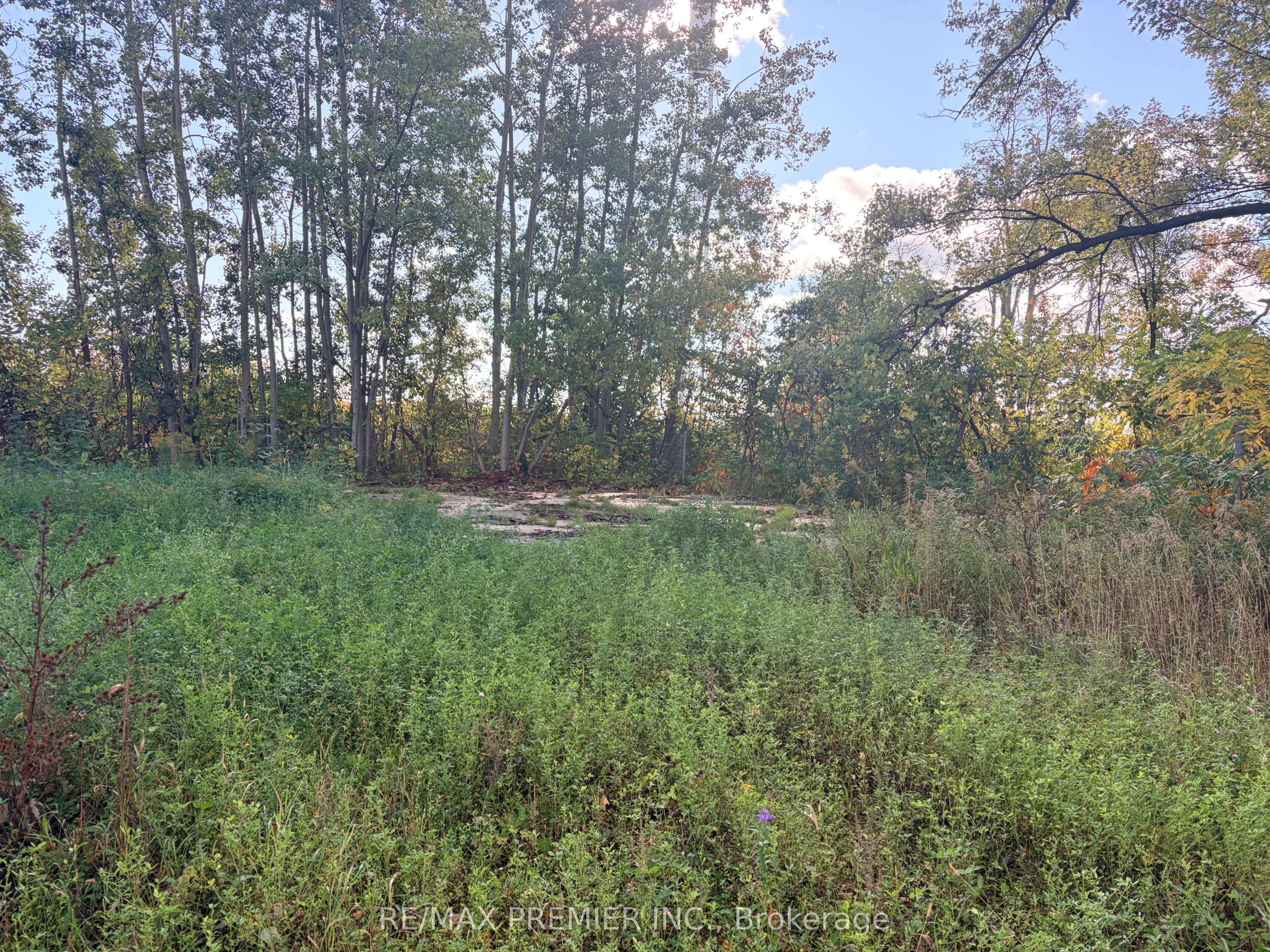 8665 Hwy 11 Property Photo 4