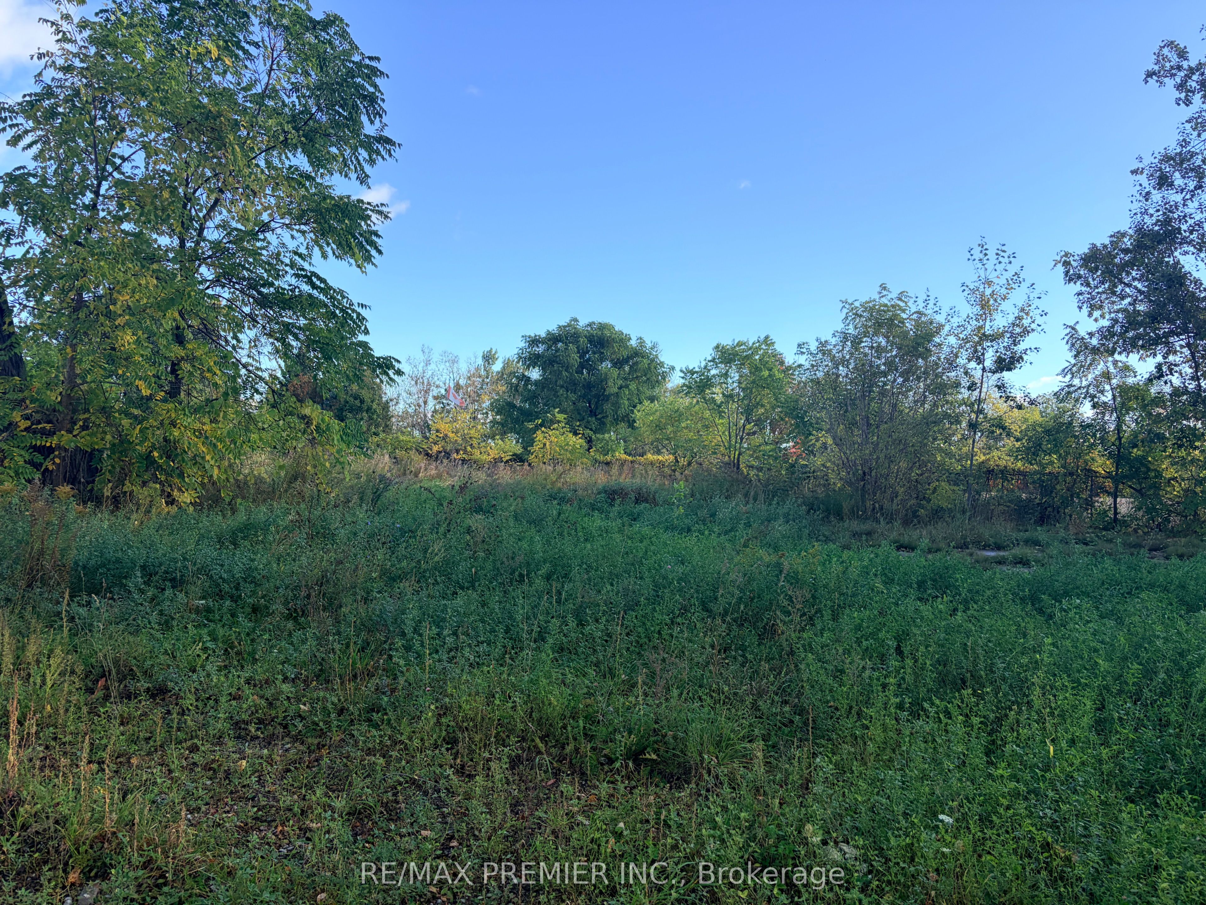 8665 Hwy 11 Property Photo 5