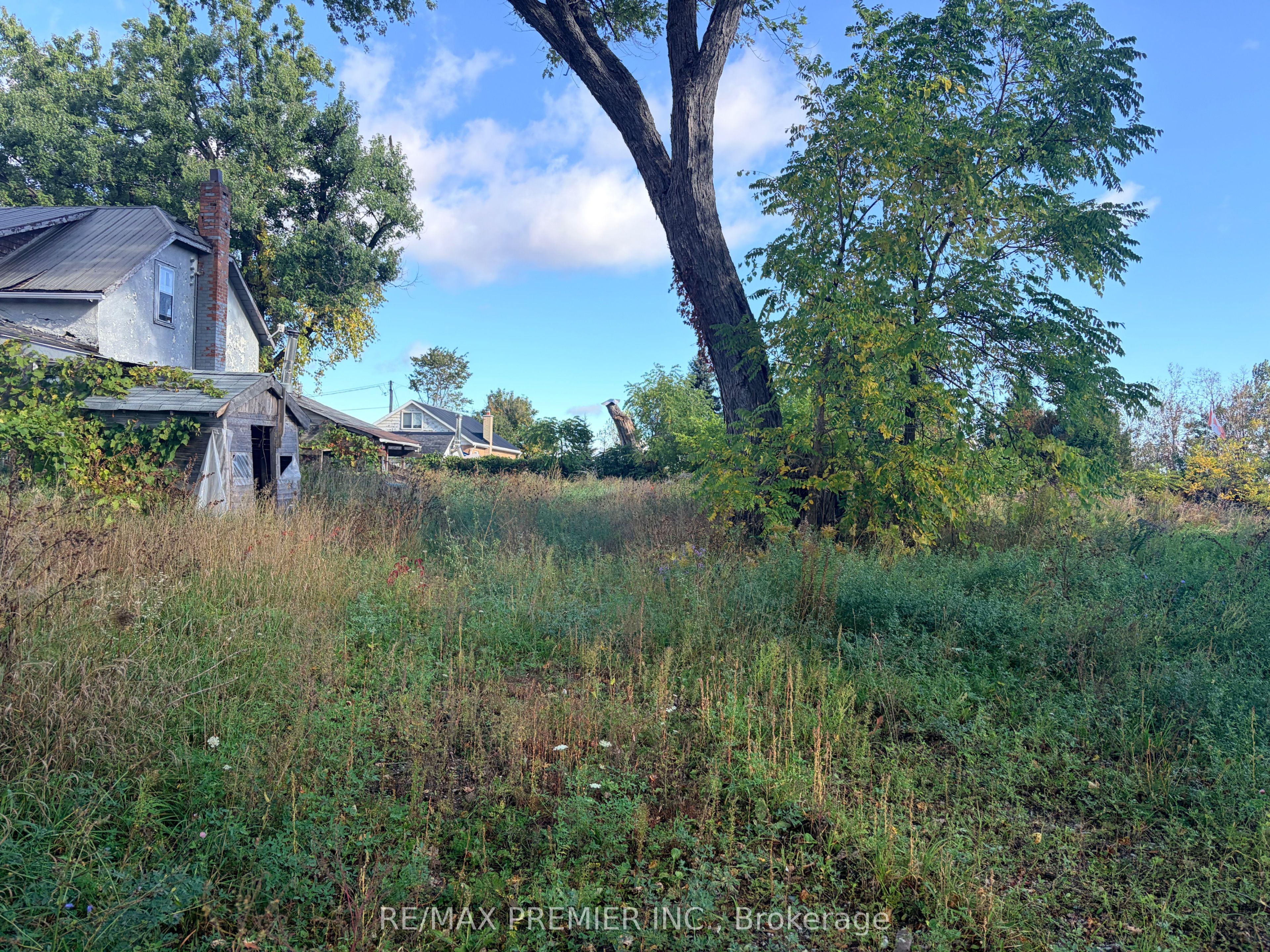 8665 Hwy 11 Property Photo 6