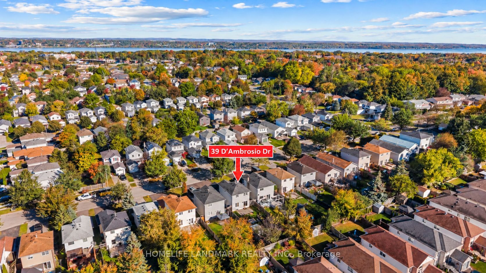 39 D'ambrosio Drive Property Photo 31