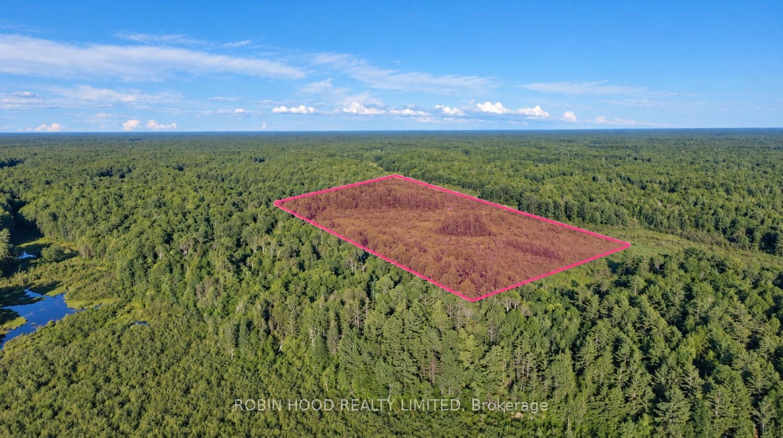 4501 Upper Big Chute Road Property Photo 1