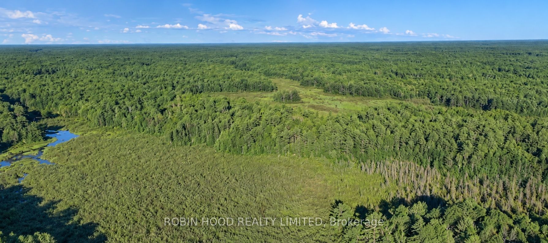 4501 Upper Big Chute Road Property Photo 6