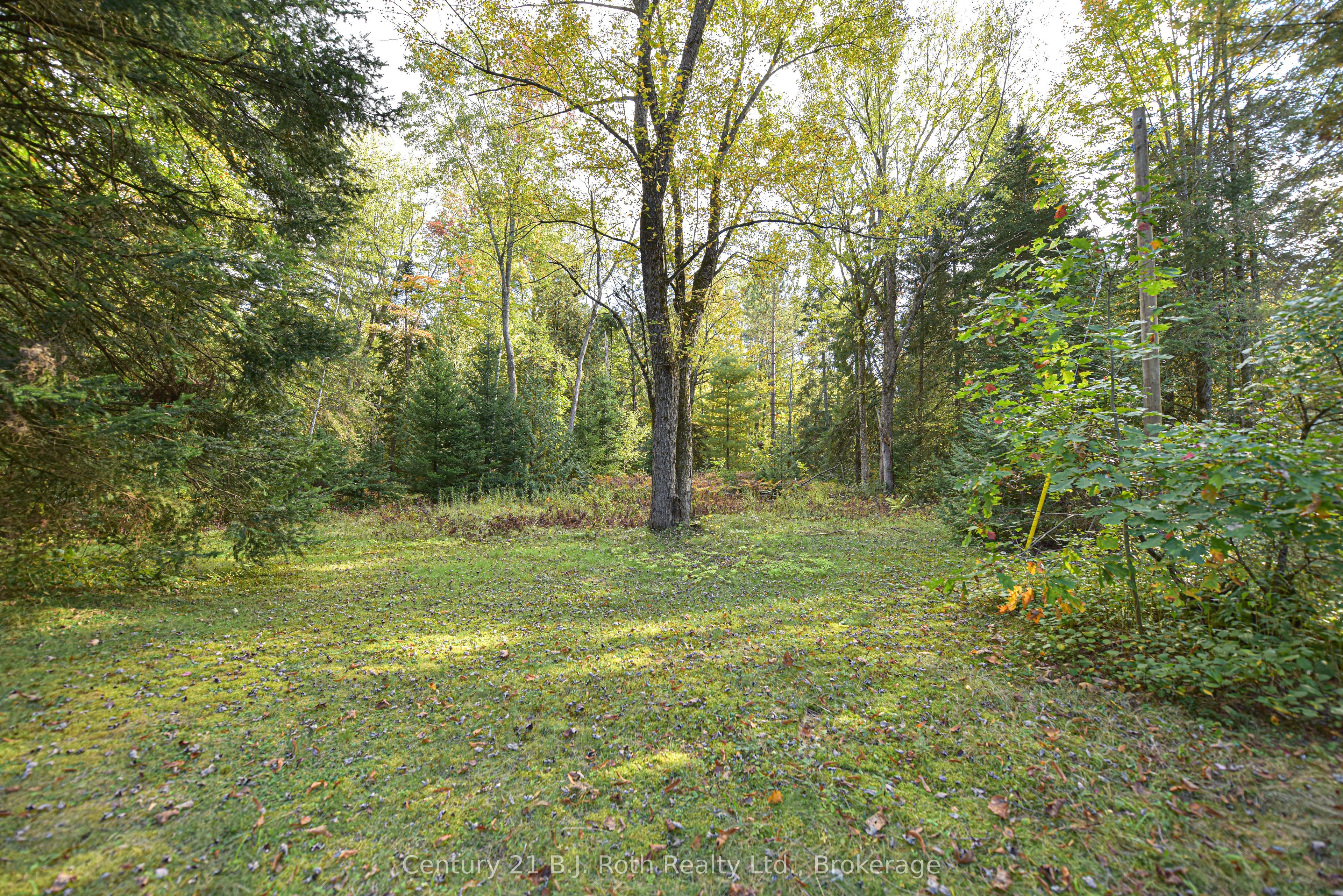 6571 Pioneer Village Lane Property Photo 32