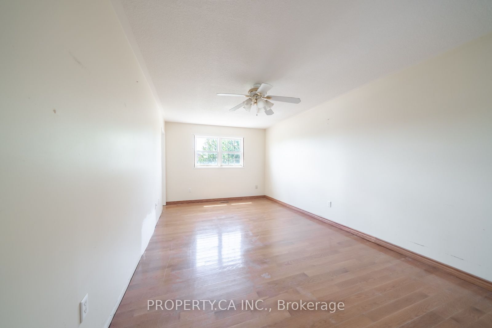 51 Leggott Avenue Property Photo 18
