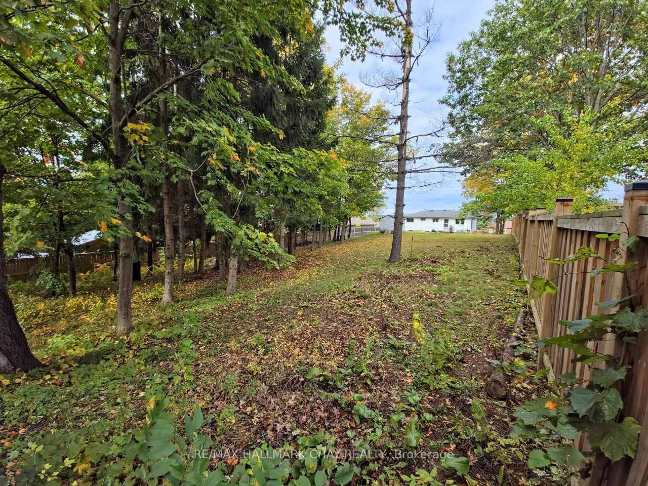 185 Ardagh Road Property Photo 41