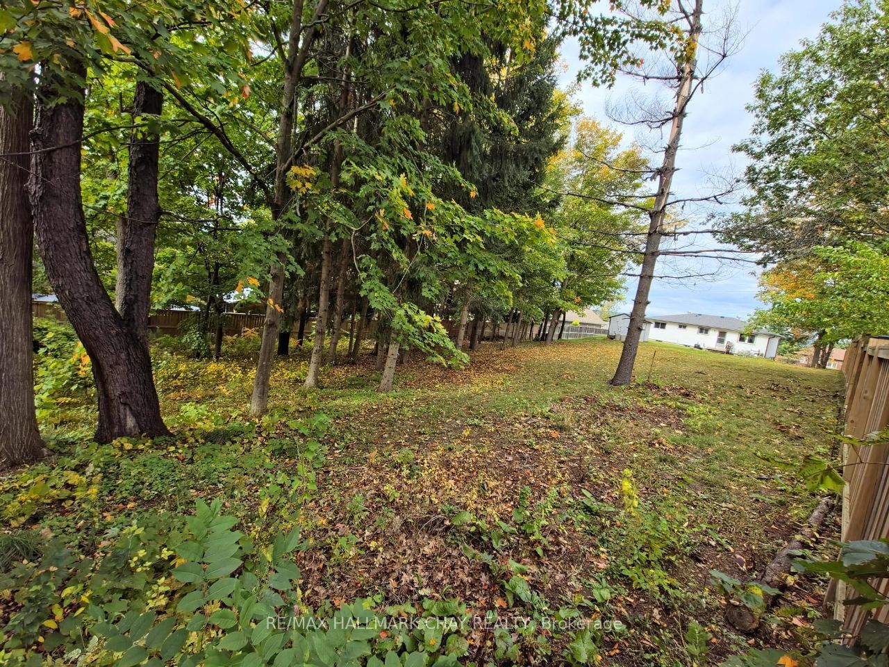 185 Ardagh Road Property Photo 42