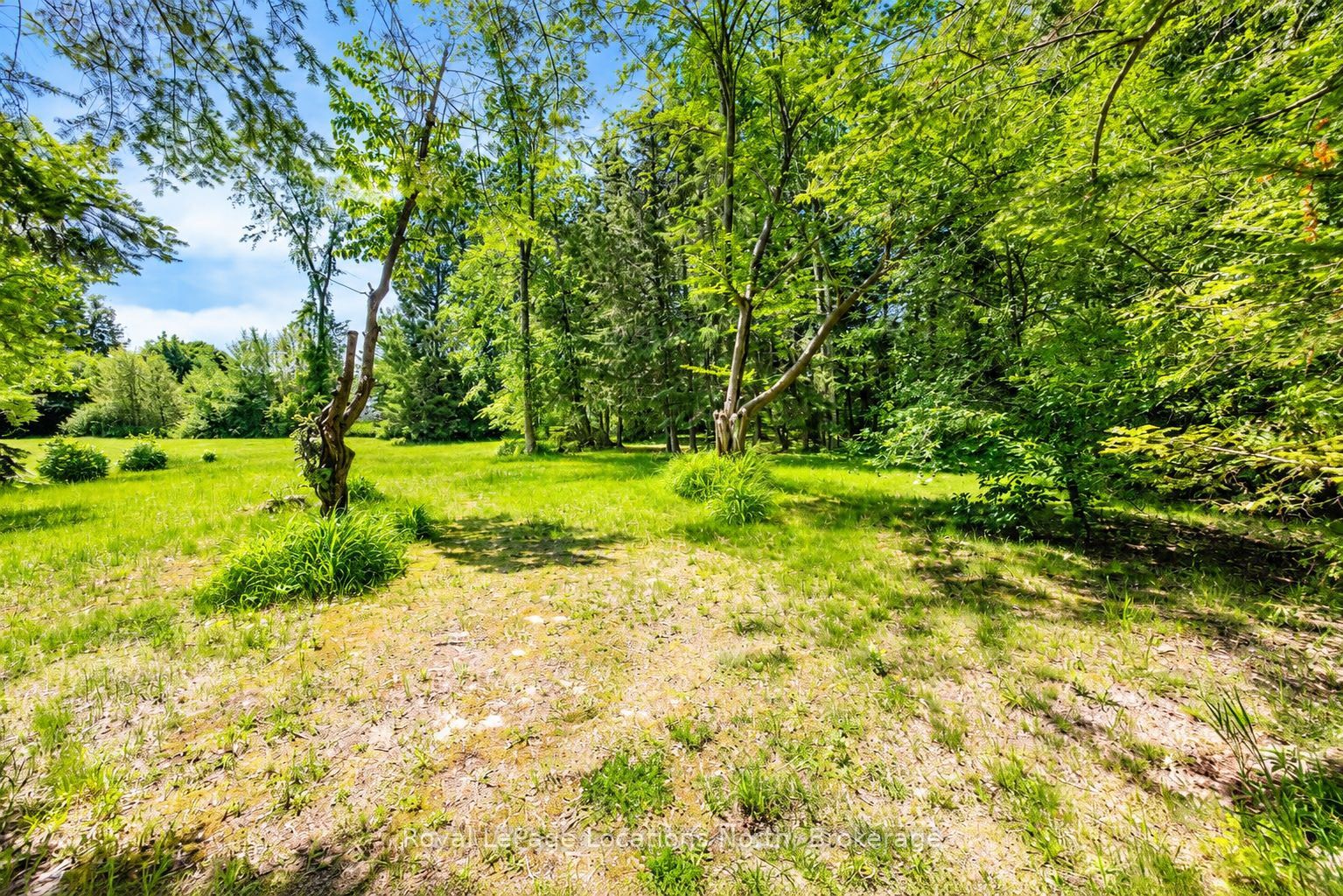 88 Smallman Drive Property Photo 4