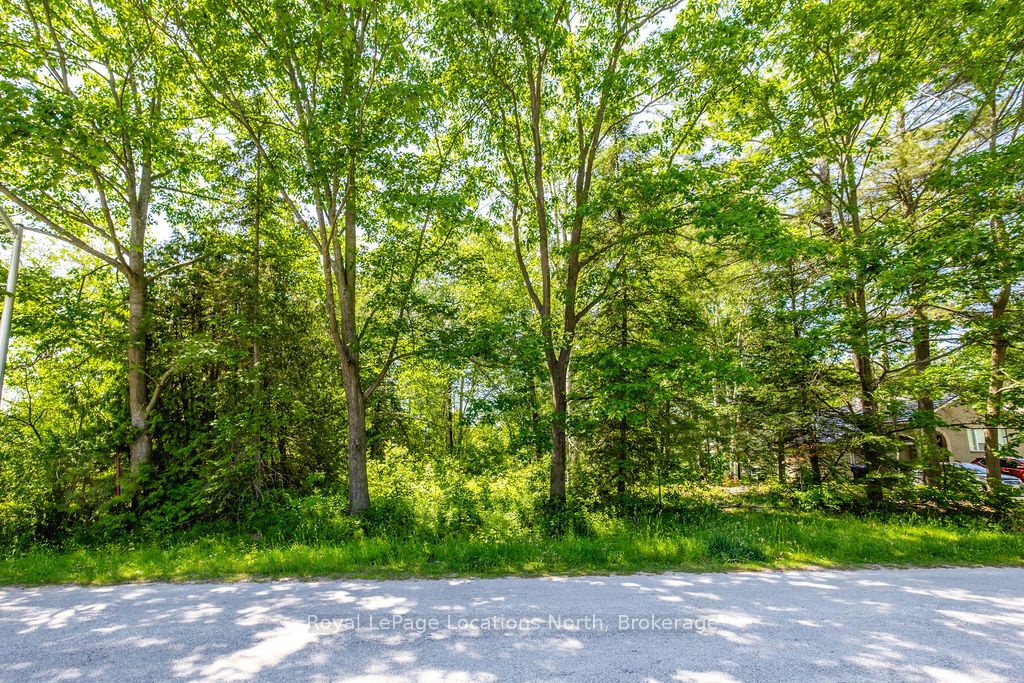 88 Smallman Drive Property Photo 7