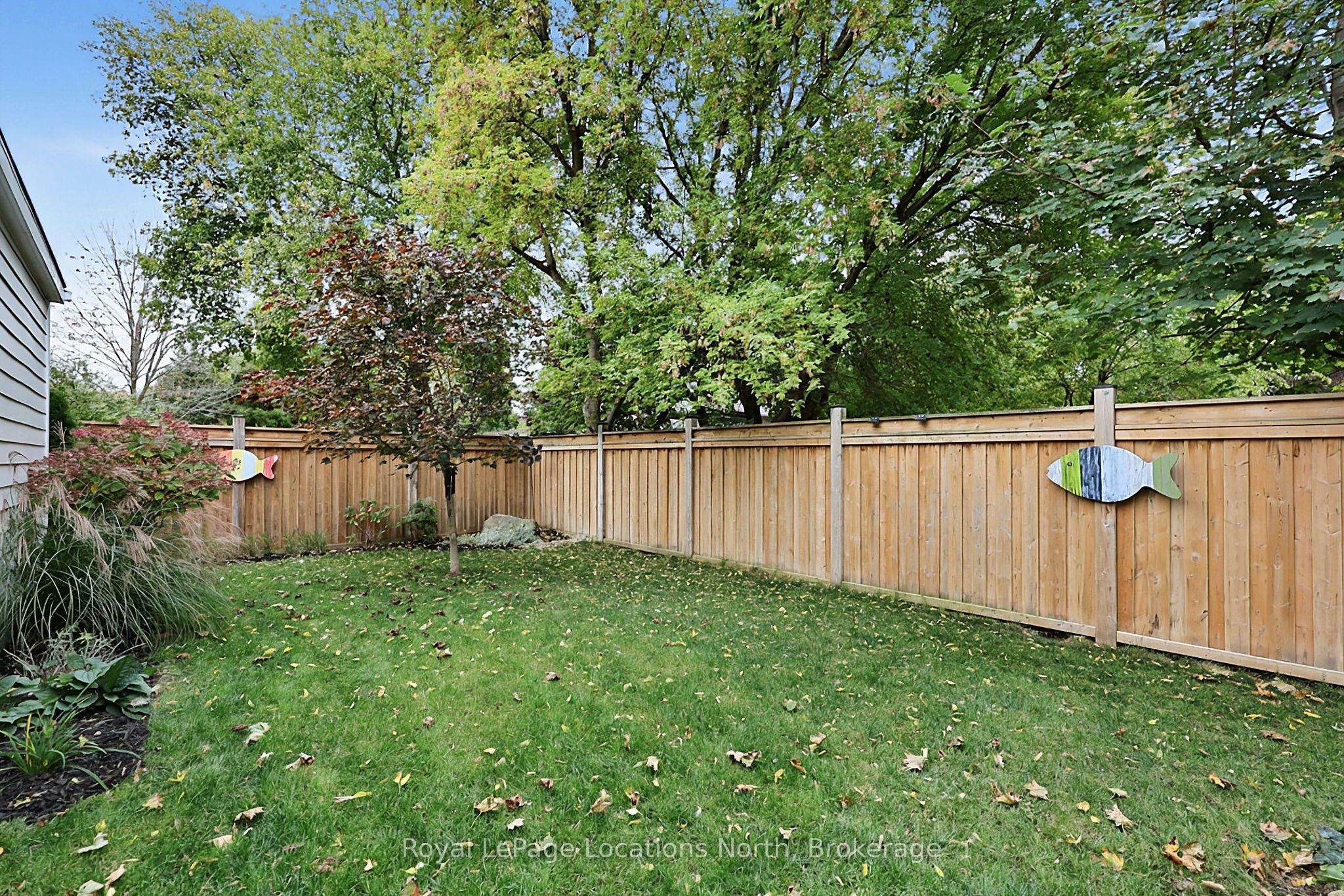 429 Birch Street Property Photo 42