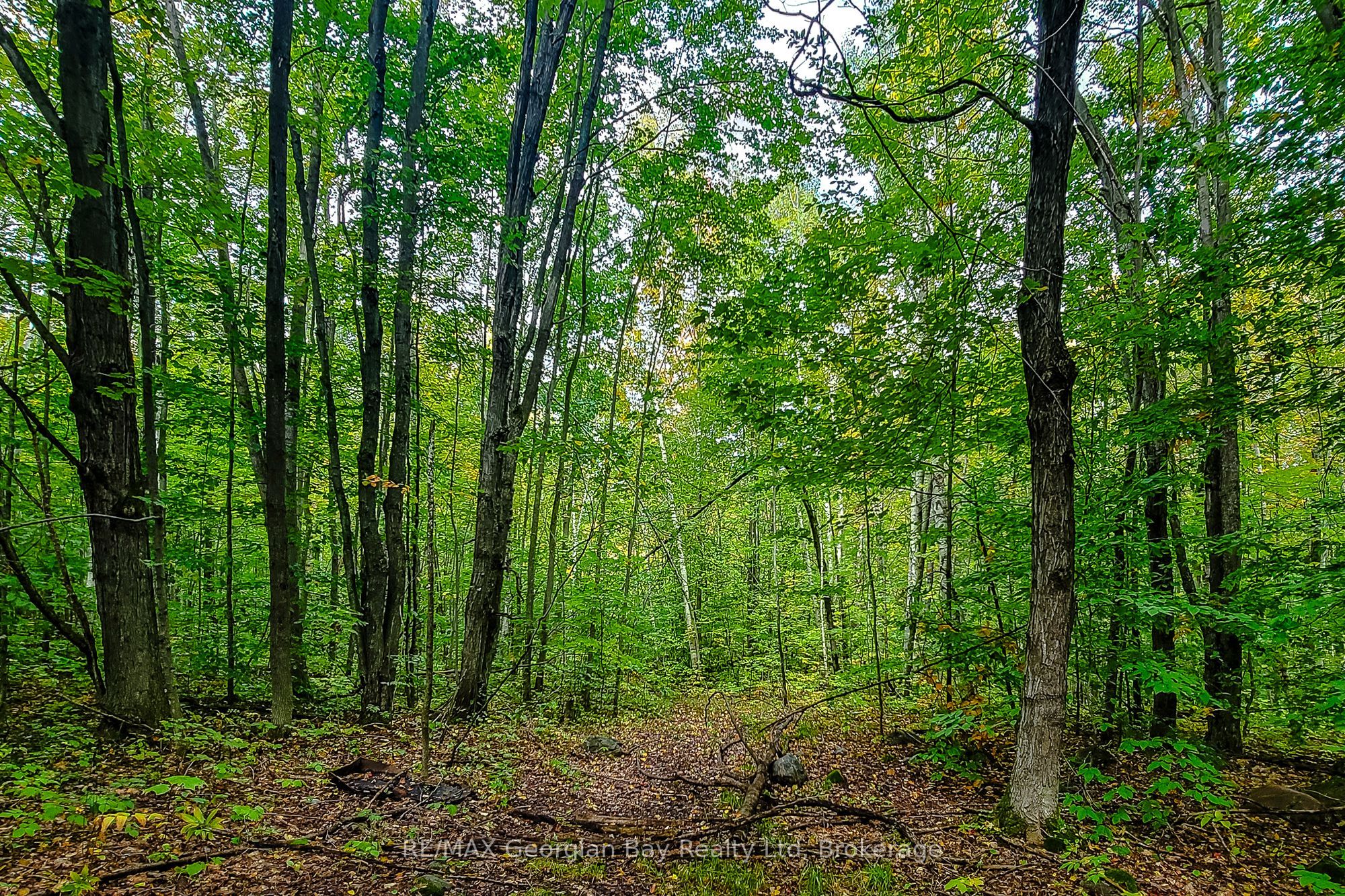 Lot 18 Conc 19 Road W Property Photo 5