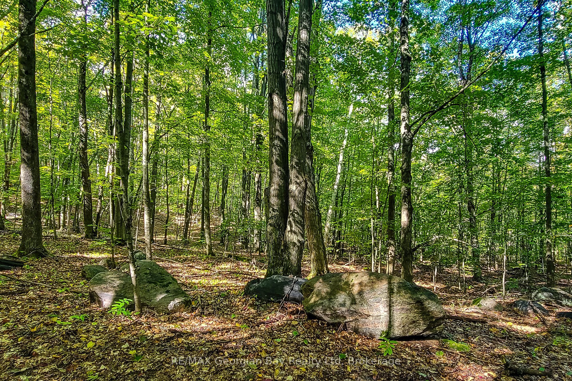 Lot 18 Conc 19 Road W Property Photo 8