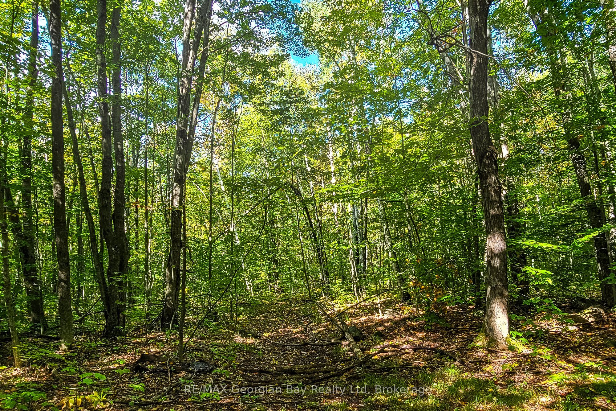 Lot 18 Conc 19 Road W Property Photo 9