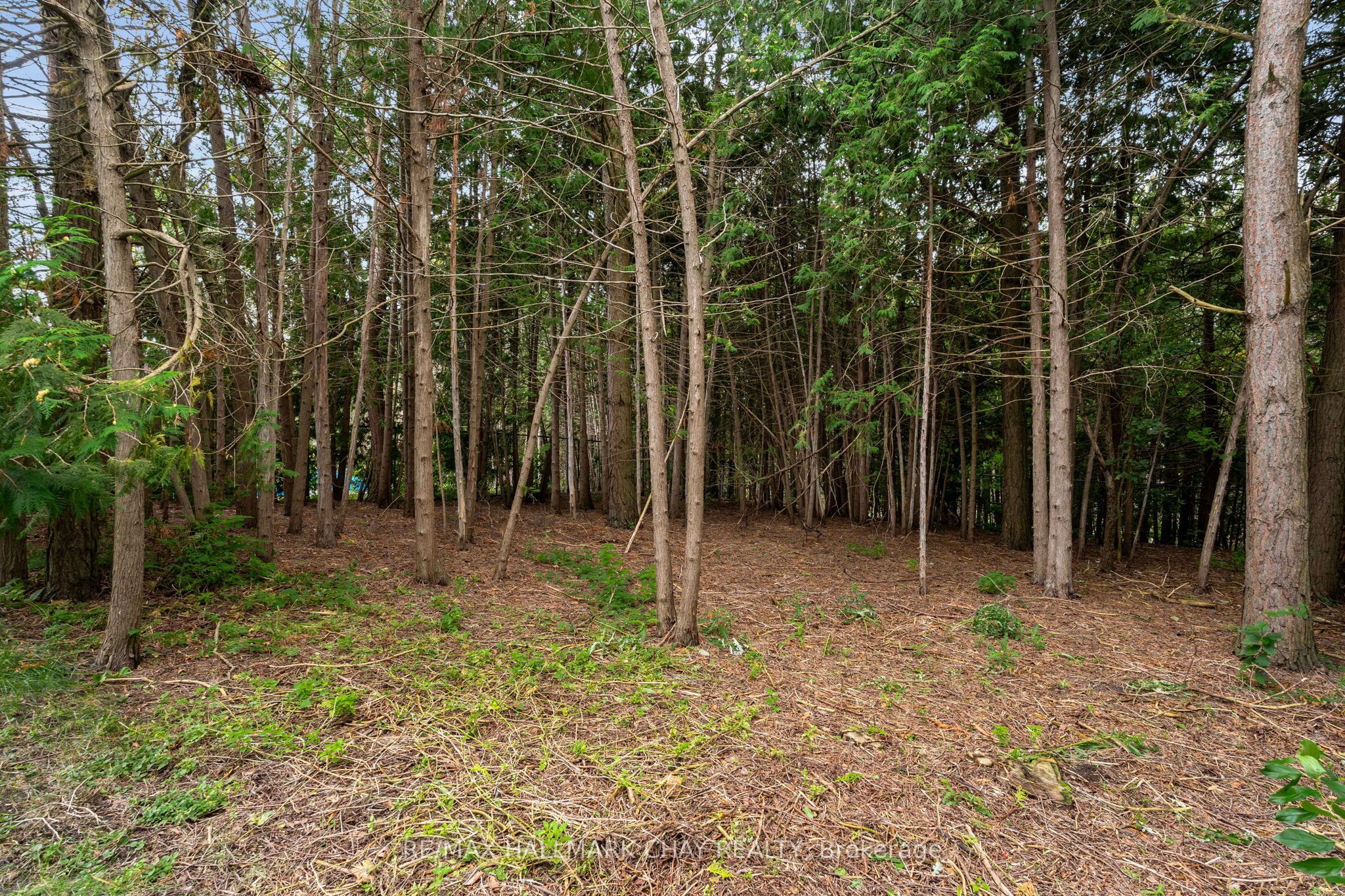 46 Birkhall Place Property Photo 35