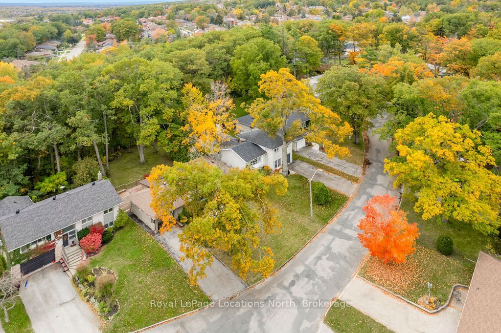 9 Vine Crescent Property Photo 46
