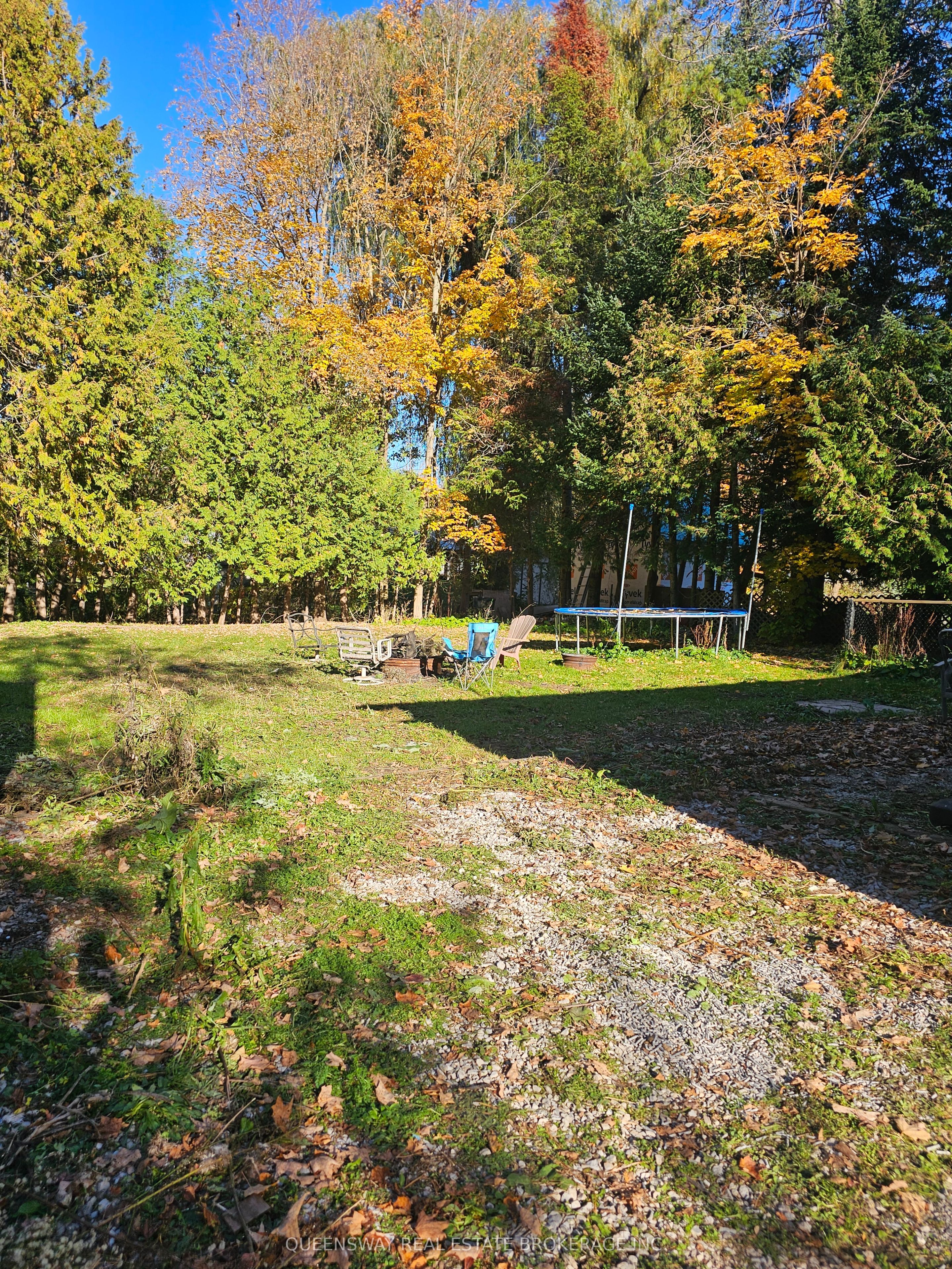 63 Ward Avenue Property Photo 3