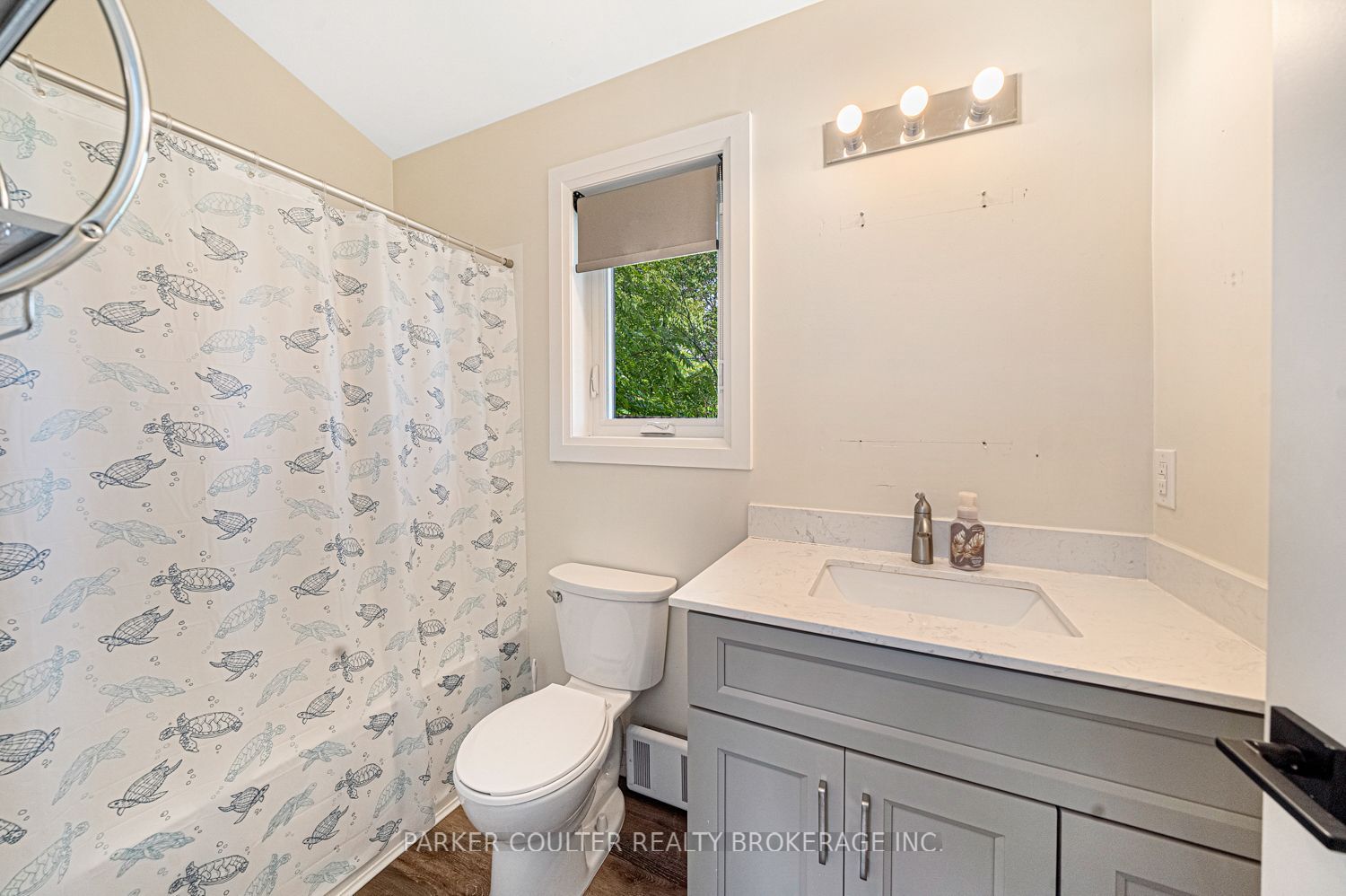 71b Newton Street Property Photo 14