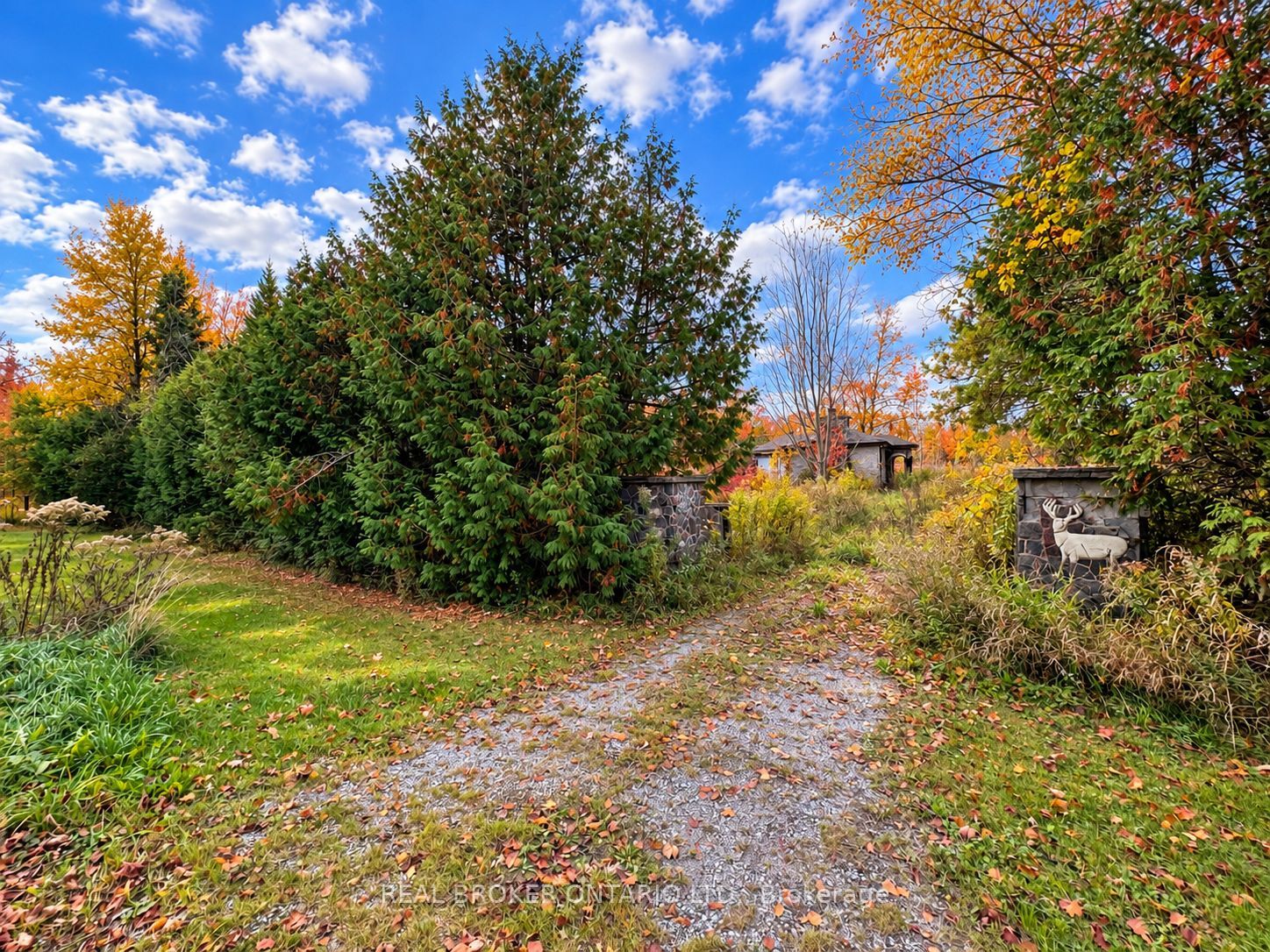 5654 Willison Side Road Property Photo 3