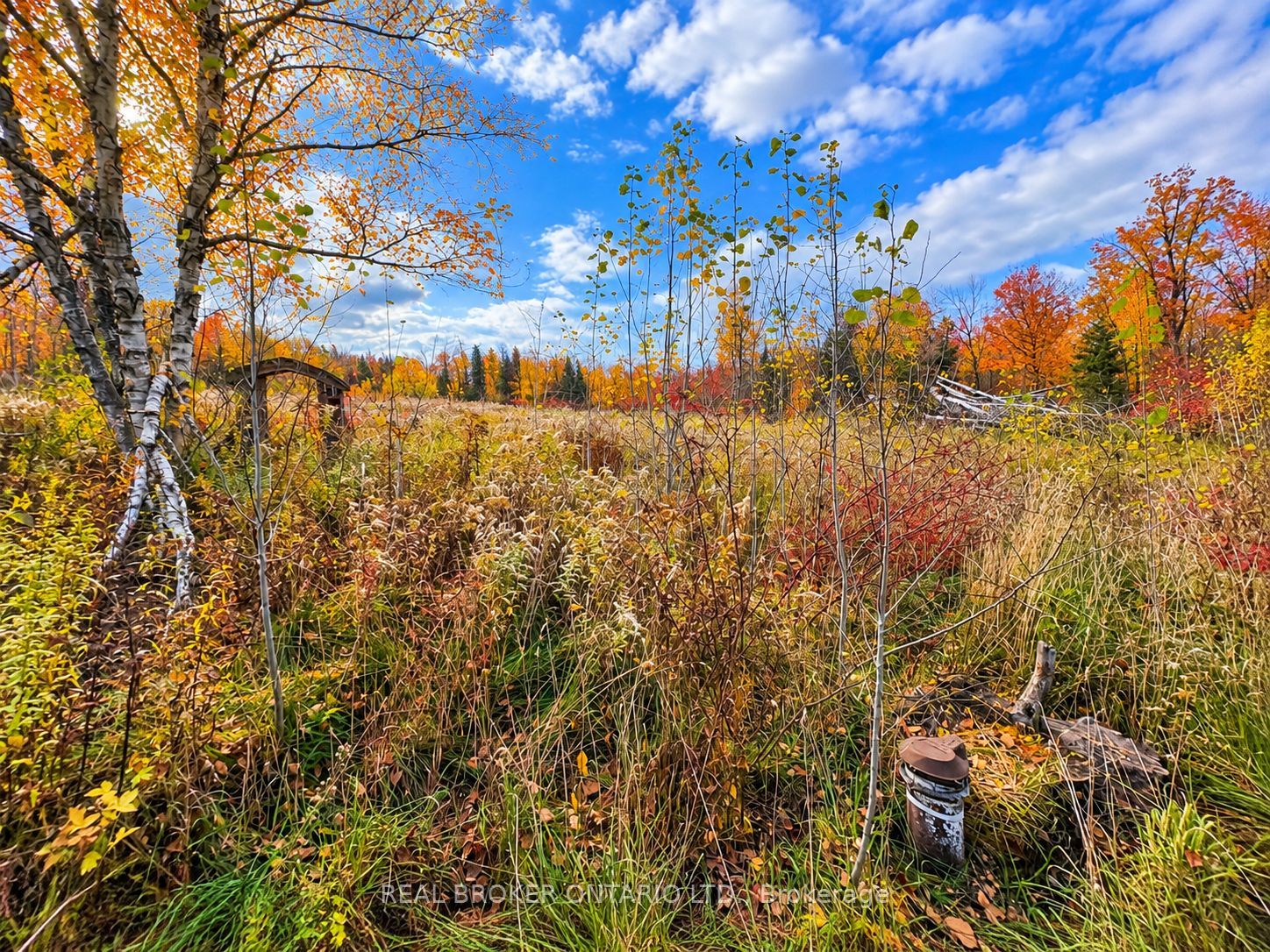5654 Willison Side Road Property Photo 6