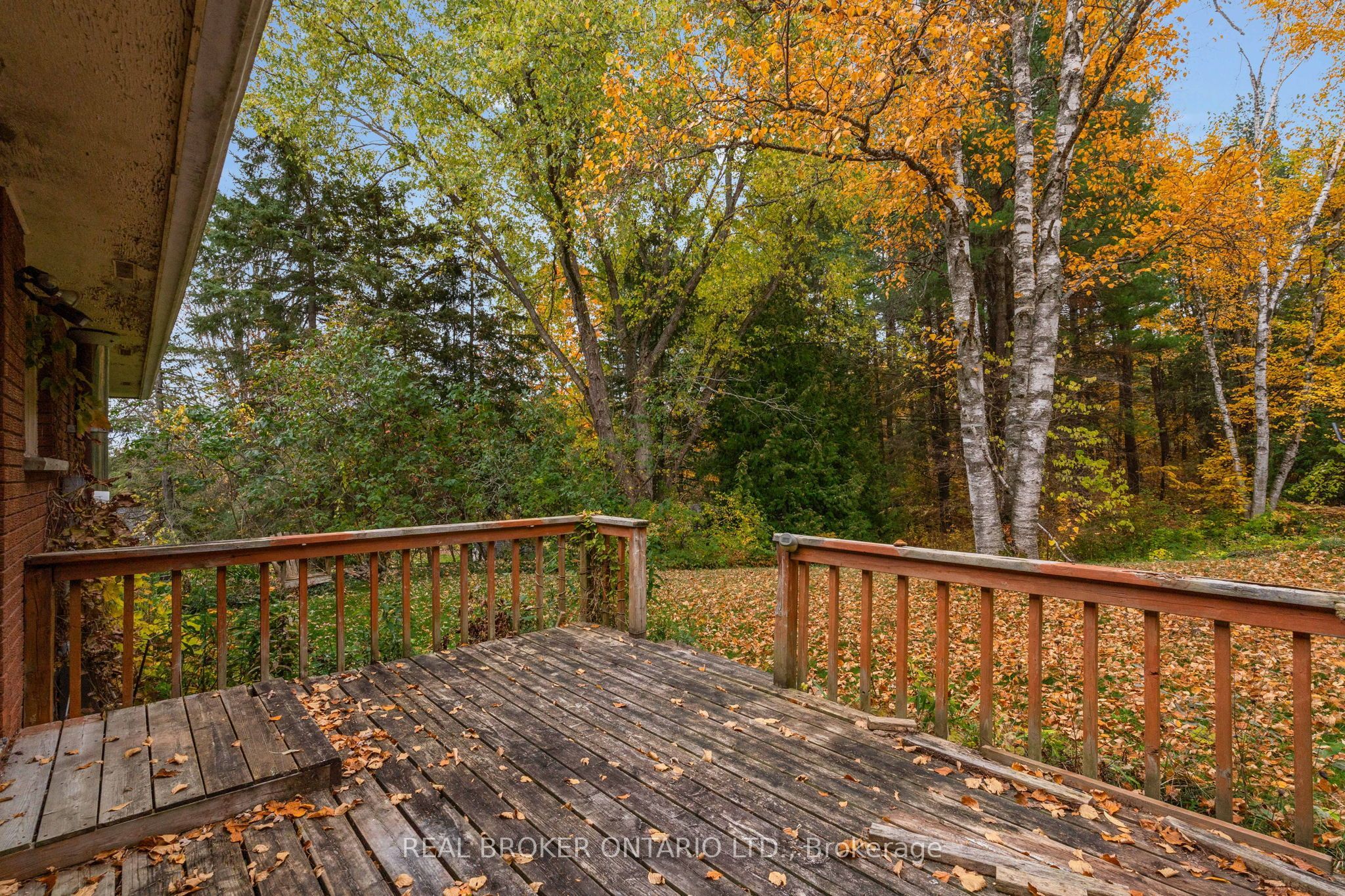 1159 Carson Road Property Photo 36
